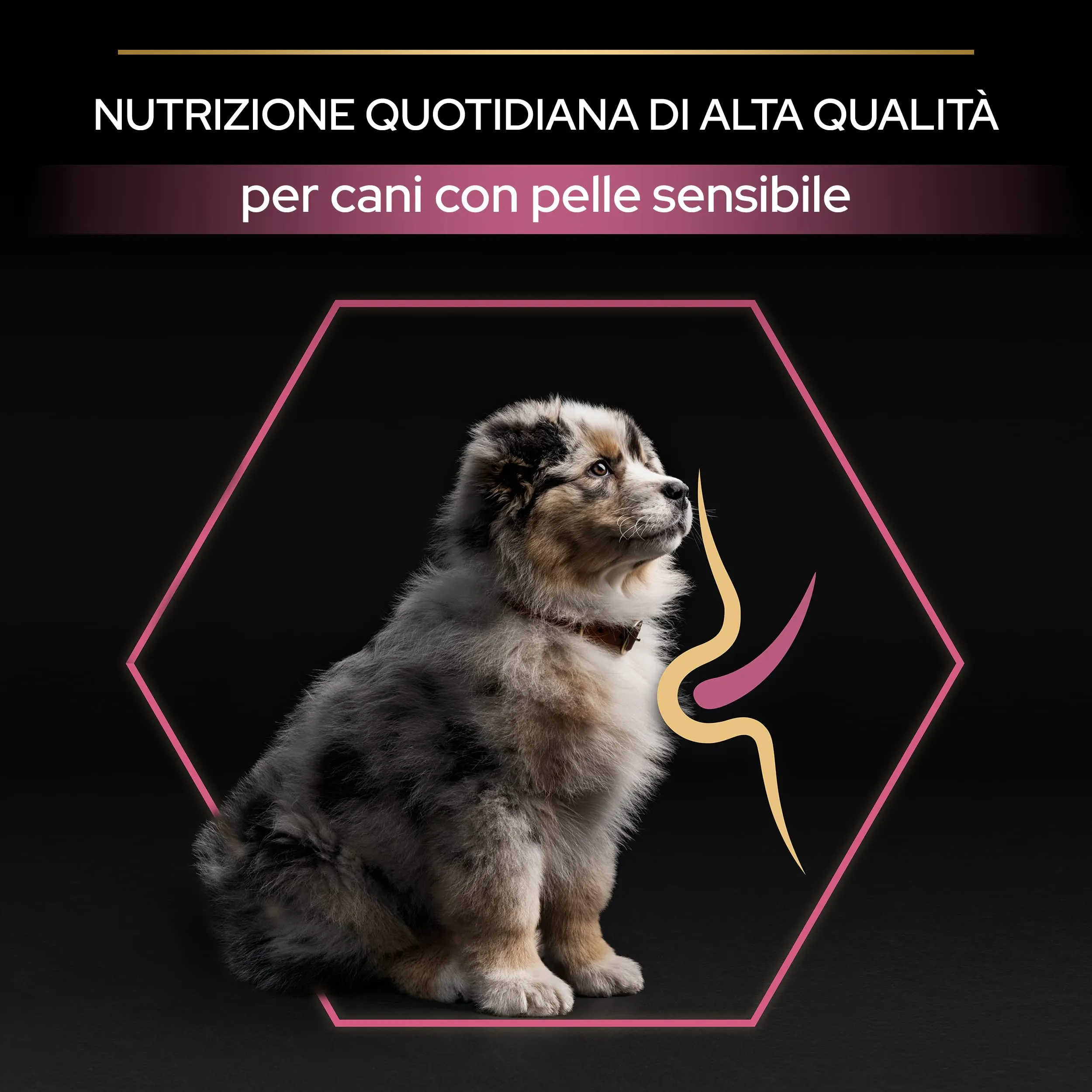 Purina Pro Plan Optiderma Medium Puppy Crocchette Cane Salmone 3 kg - immagine 5