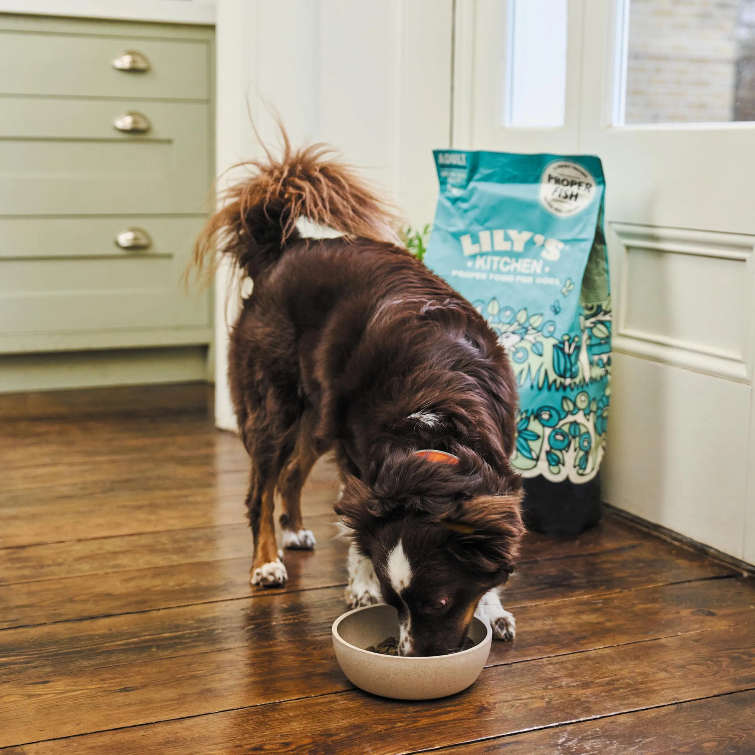 Lily's Kitchen Cibo secco per cani adulti al Salmone, 1kg - immagine 2