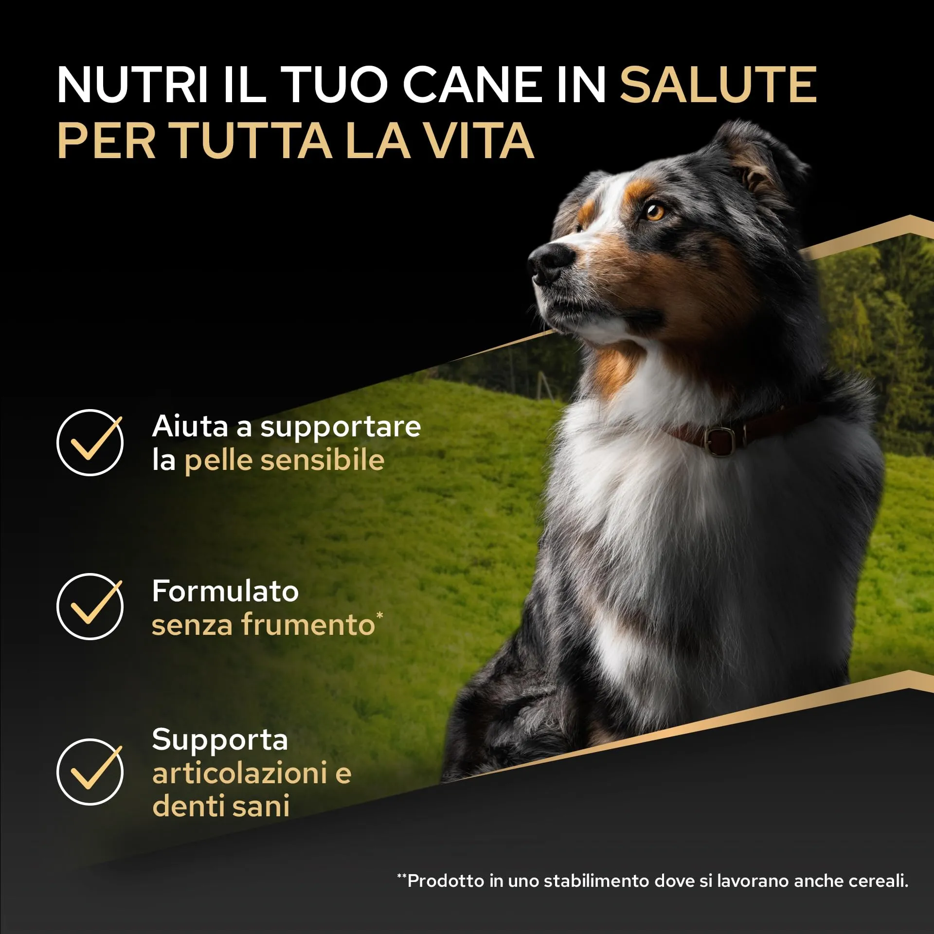 Purina Pro Plan Sensitive Skin Crocchette per Cani Senior 7+, 16kg - immagine 4
