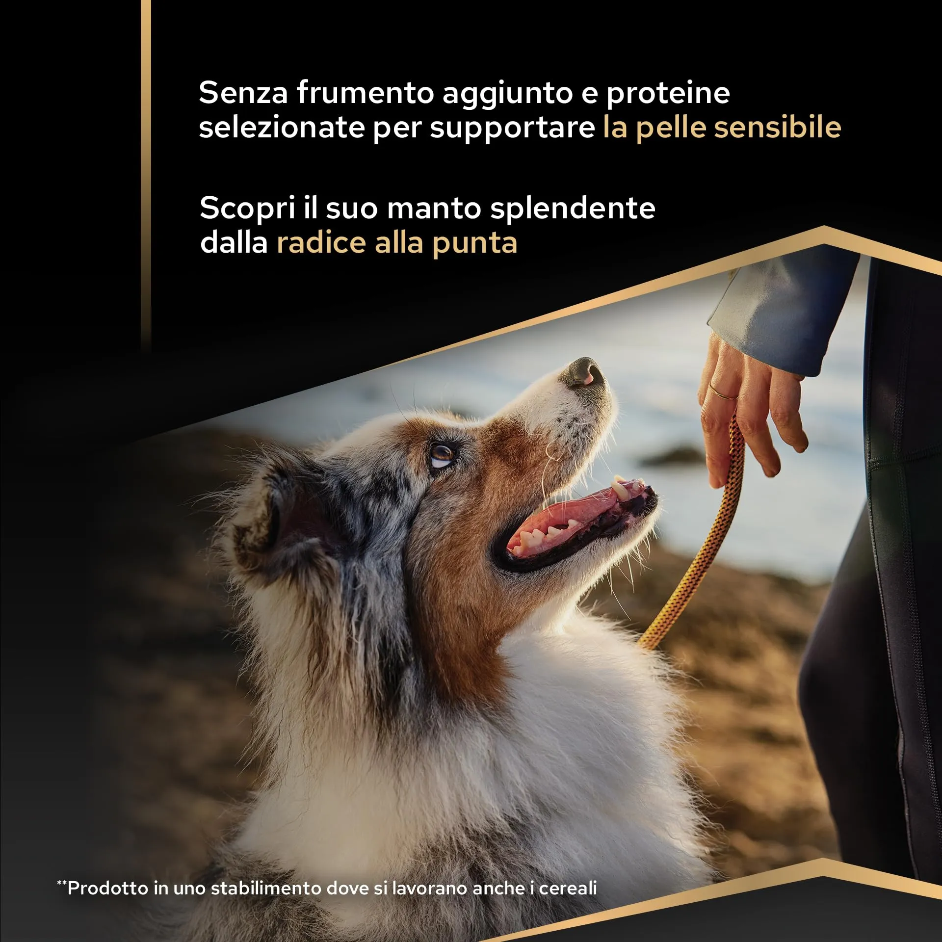 Purina Pro Plan Sensitive Skin Crocchette per Cani Senior 7+, 16kg - immagine 5