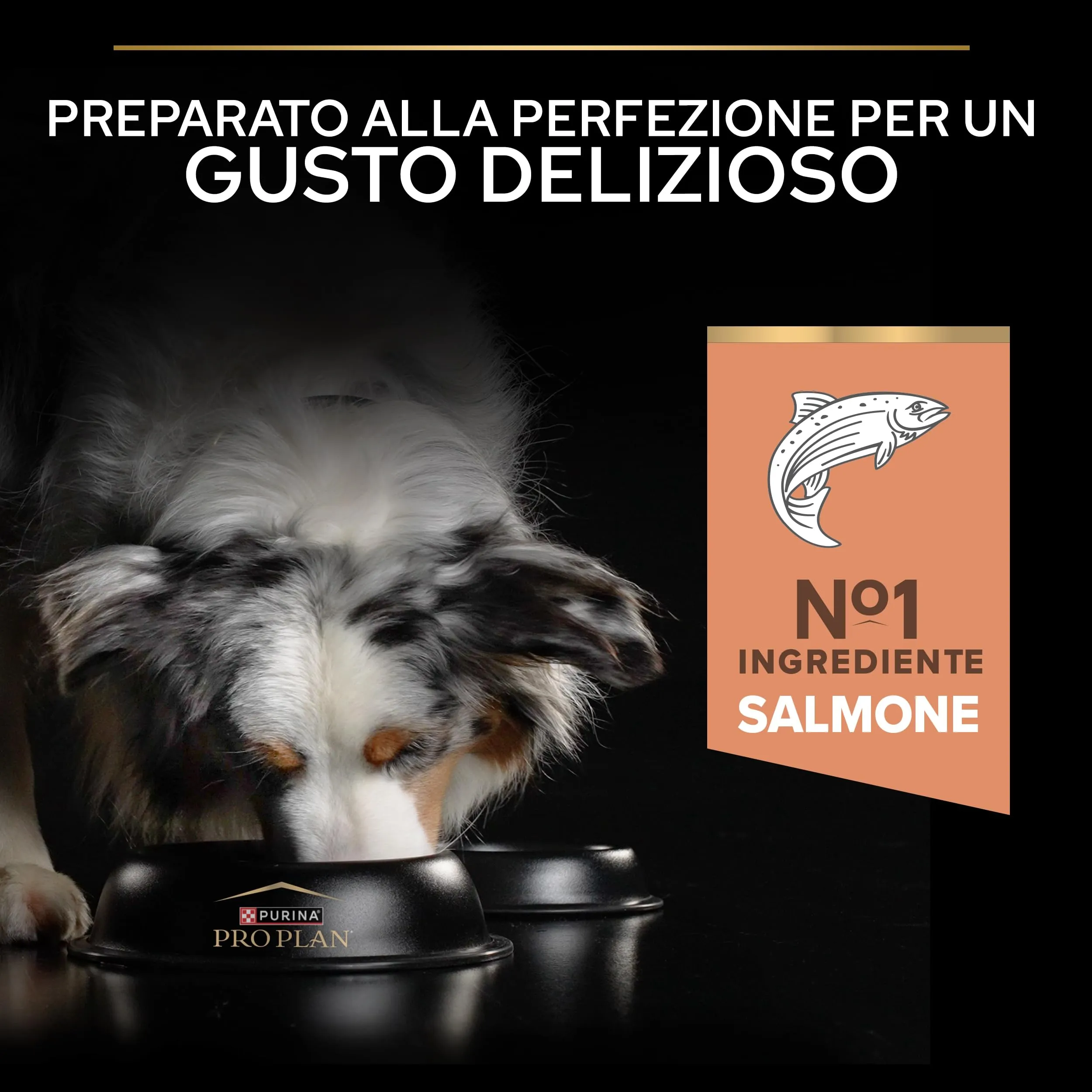Purina Pro Plan Sensitive Skin Crocchette per Cani Senior 7+, 16kg - immagine 8
