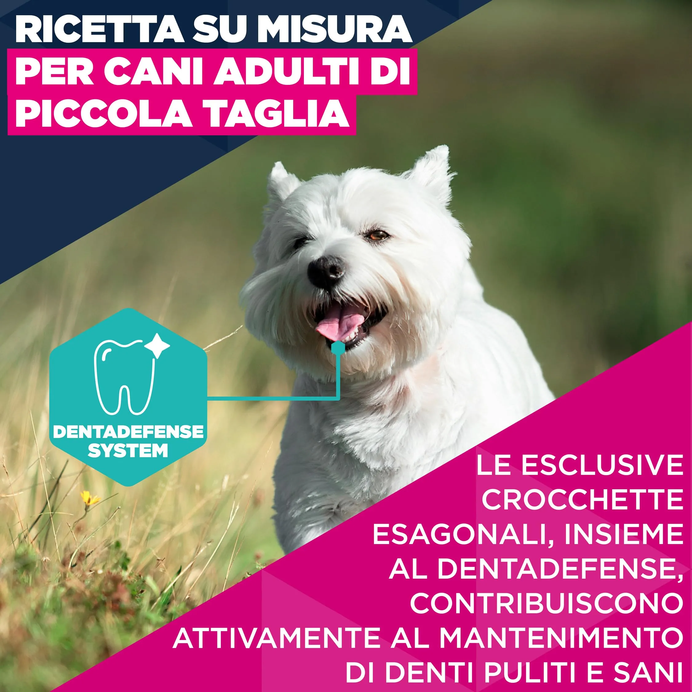 Eukanuba Crocchette per cani adulti taglia piccola con pollo fresco, 15 kg - immagine 3