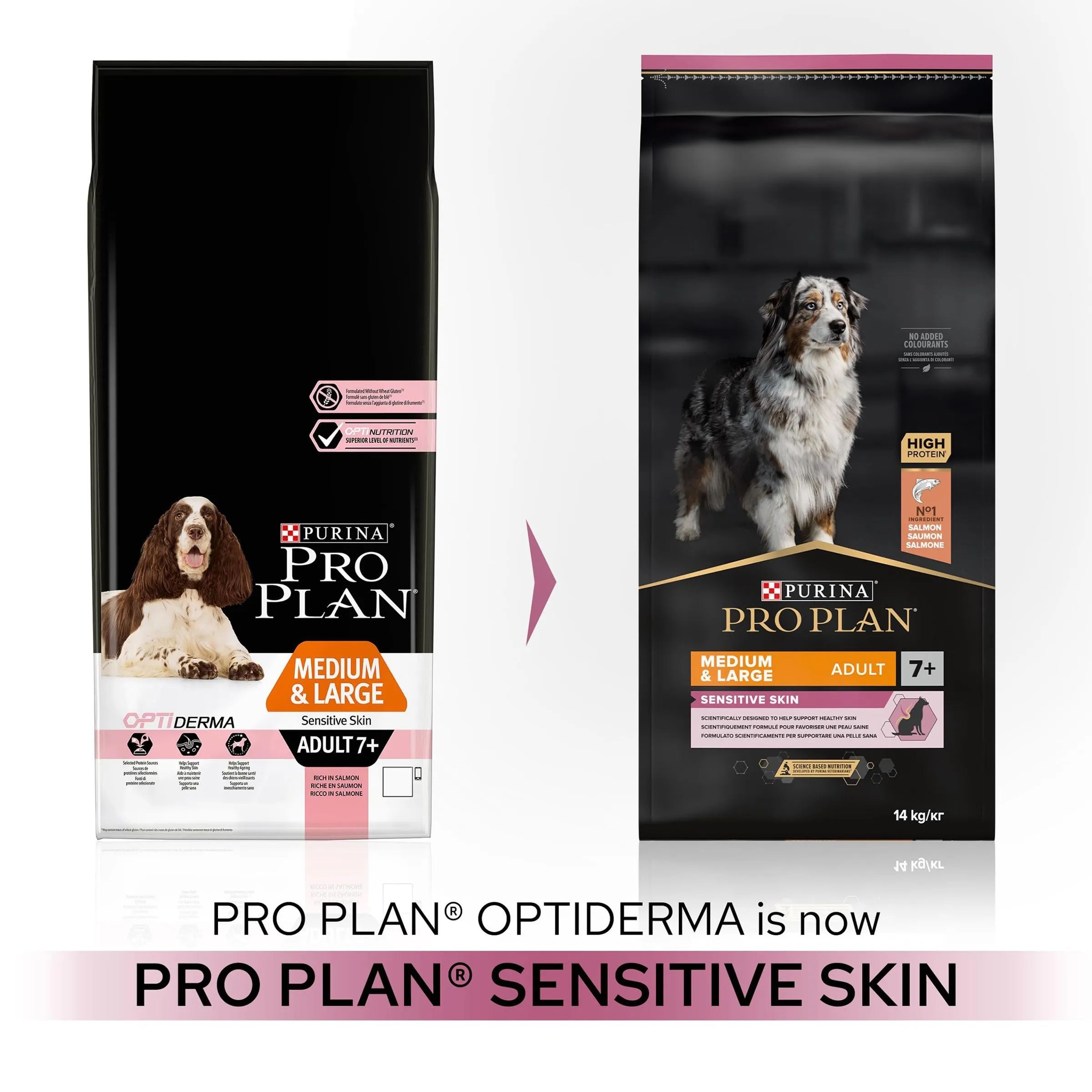 Purina Pro Plan Optiderma Medium e Large Adult 7+ Crocchette Cani, 4 x 3 kg - immagine 4