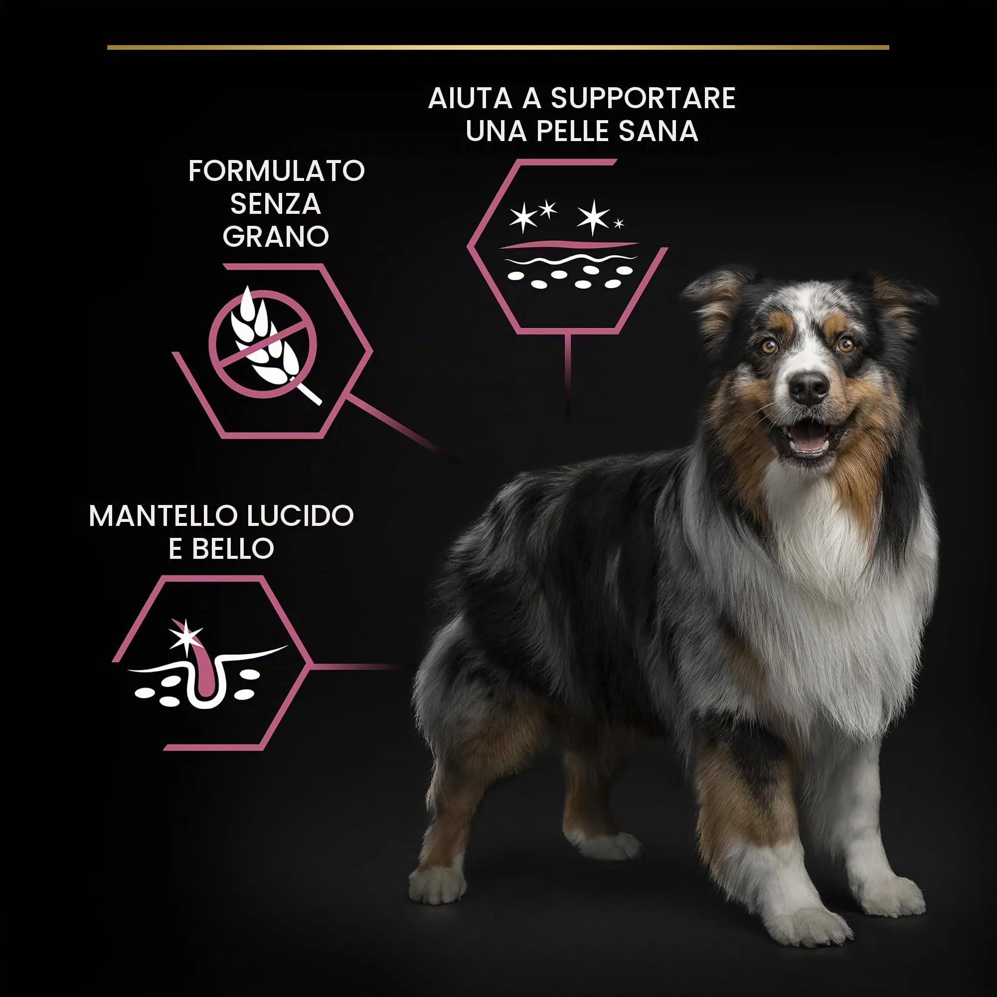 Purina Pro Plan Optiderma Medium e Large Adult 7+ Crocchette Cani, 4 x 3 kg - immagine 5