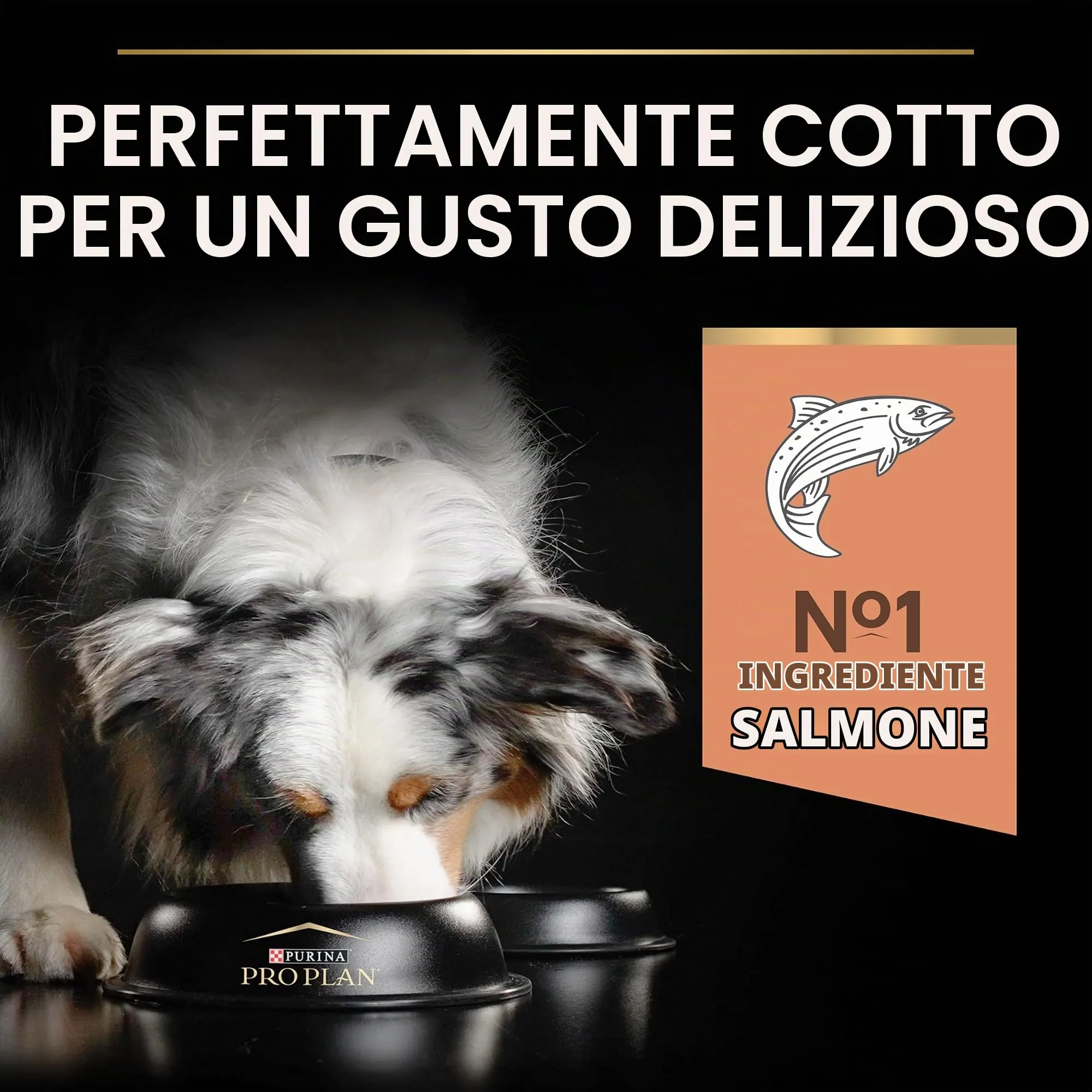 Purina Pro Plan Optiderma Medium e Large Adult 7+ Crocchette Cani, 4 x 3 kg - immagine 6