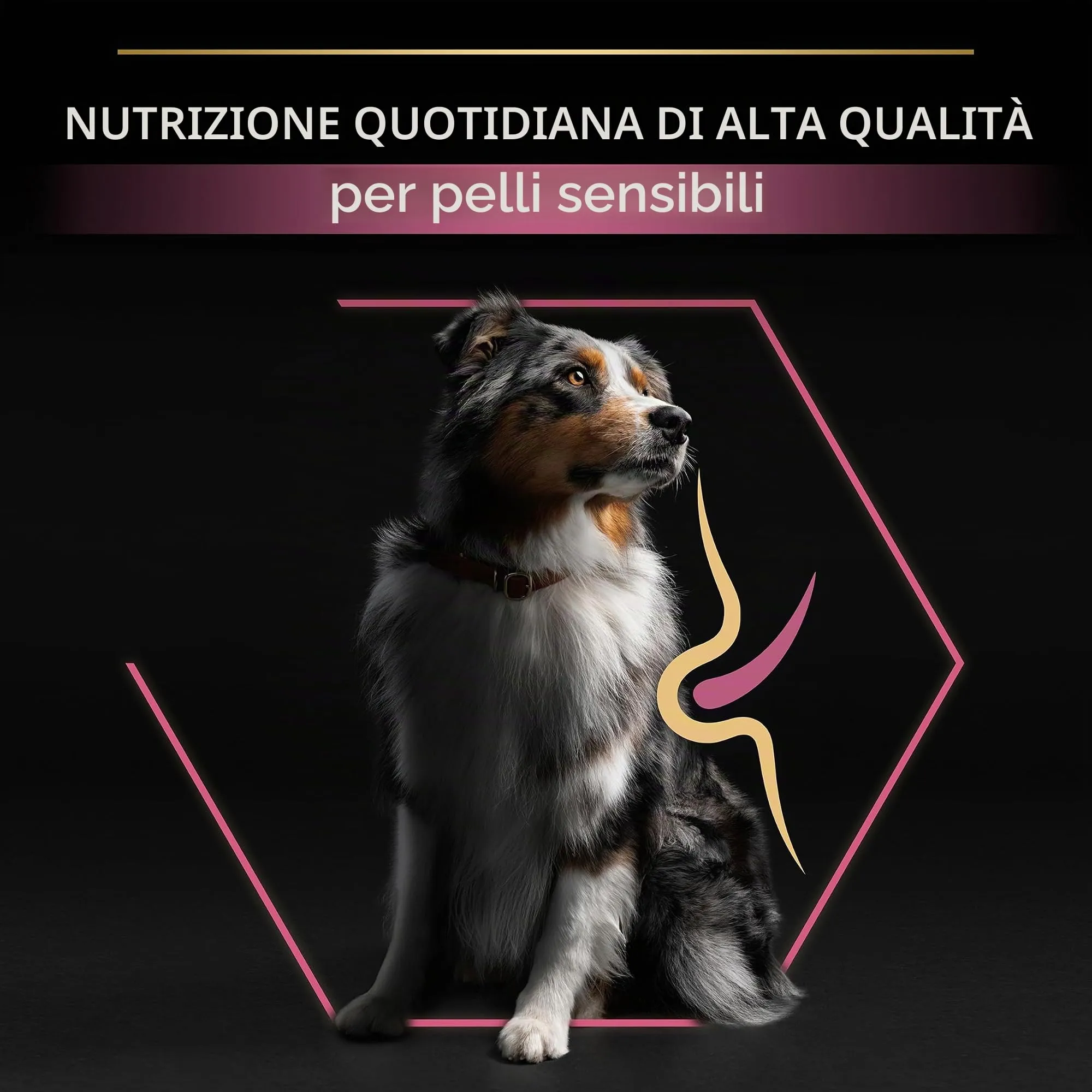 Purina Pro Plan Optiderma Medium e Large Adult 7+ Crocchette Cani, 4 x 3 kg - immagine 7