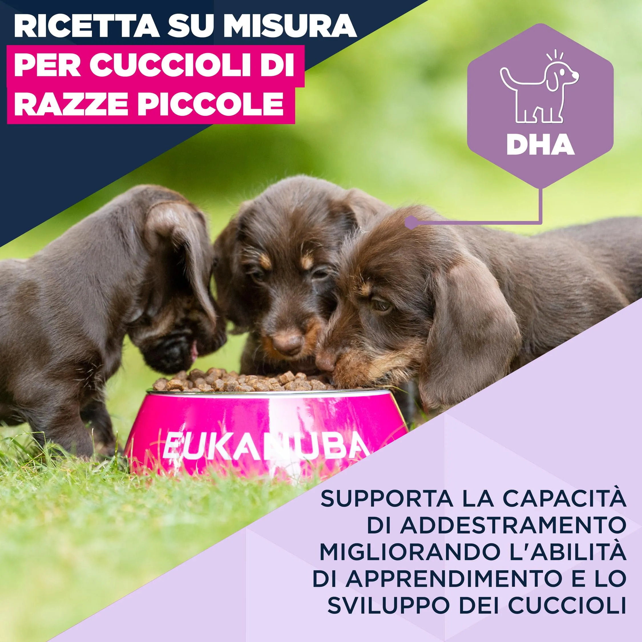 Eukanuba Crocchette per cuccioli taglia piccola con pollo fresco, 3 kg - immagine 3