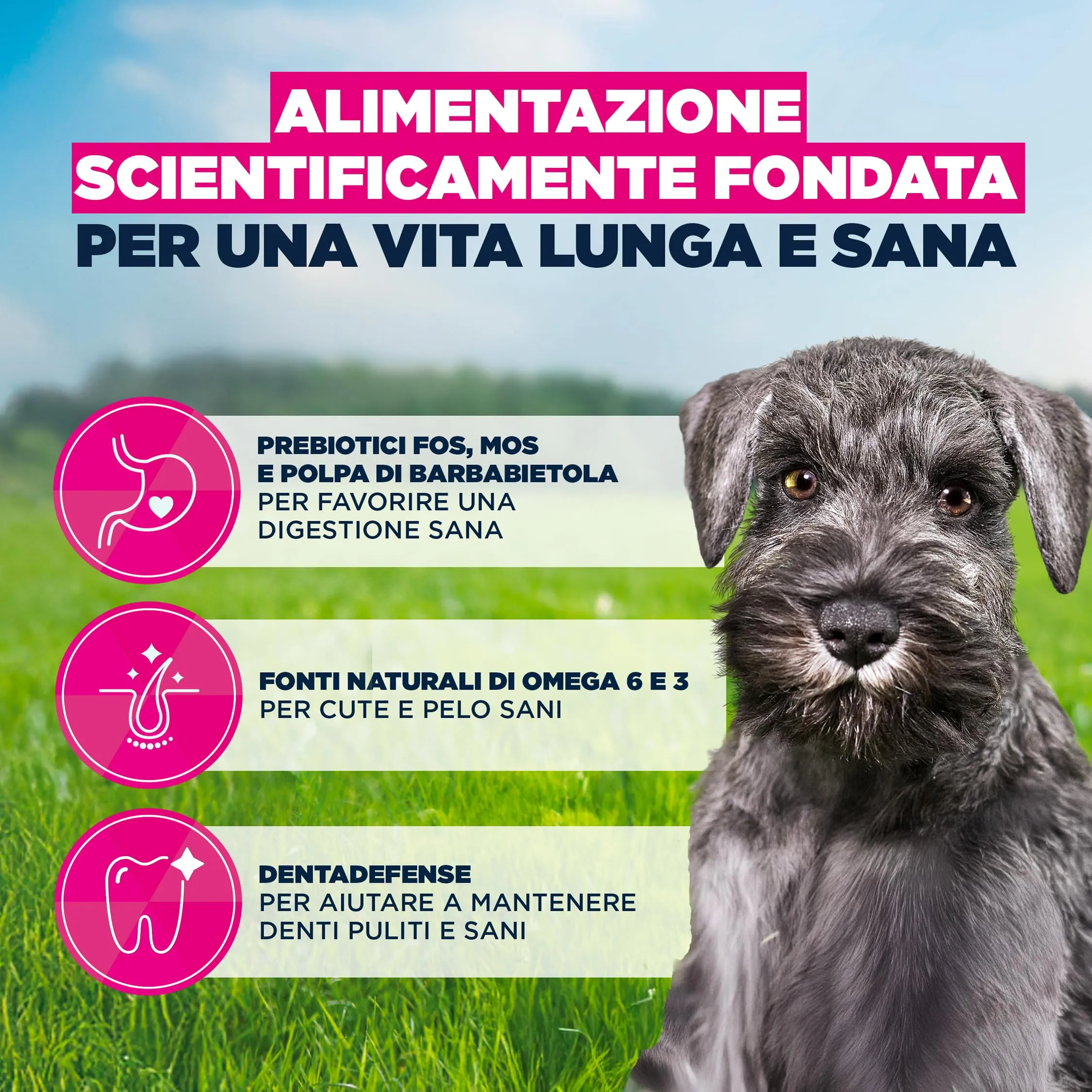 Eukanuba Crocchette per cuccioli taglia piccola con pollo fresco, 3 kg - immagine 5
