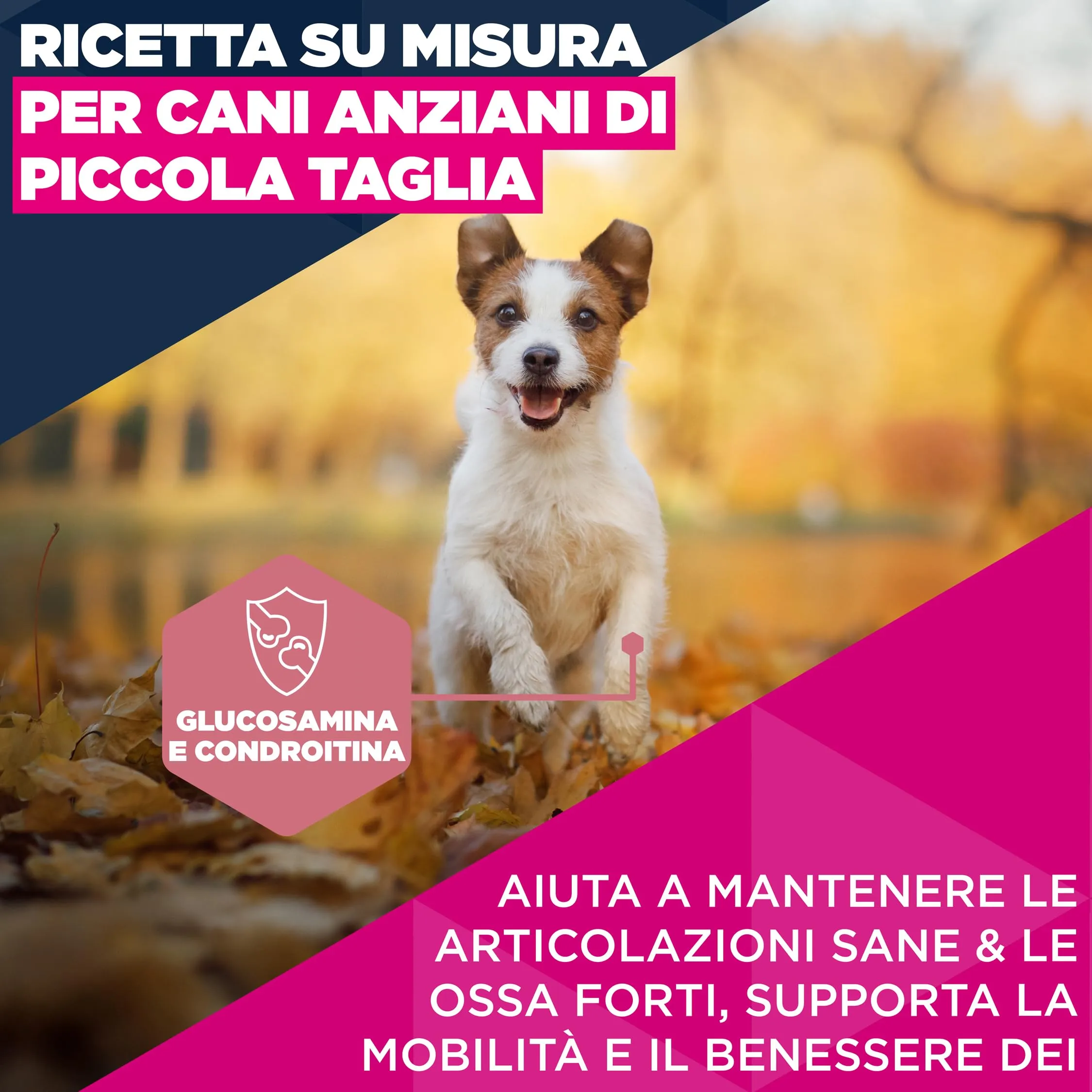 Eukanuba Crocchette per cani anziani taglia piccola al pollo fresco, 7,5 kg - immagine 3