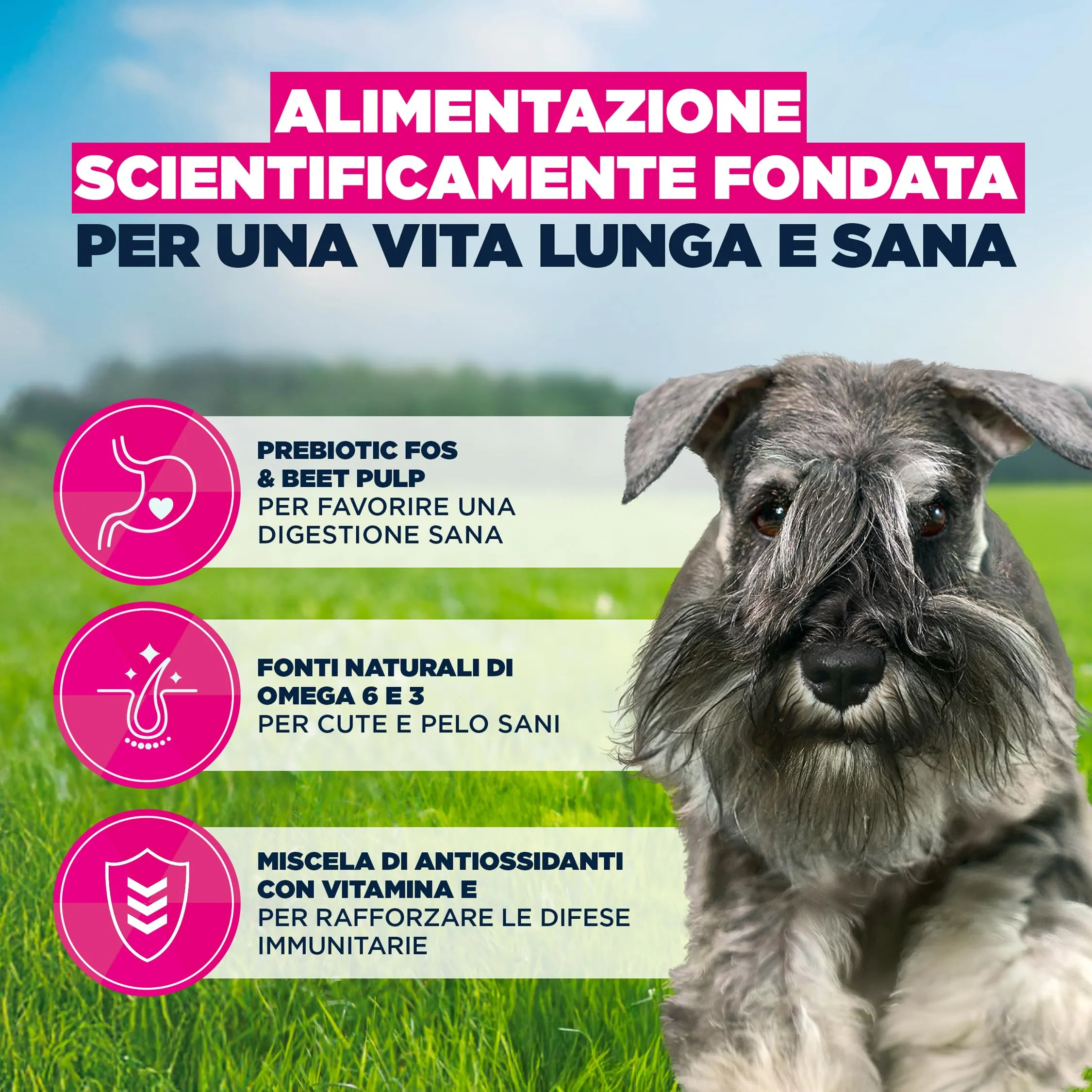 Eukanuba Crocchette per cani adulti taglia piccola con pollo fresco, 7,5 kg - immagine 5