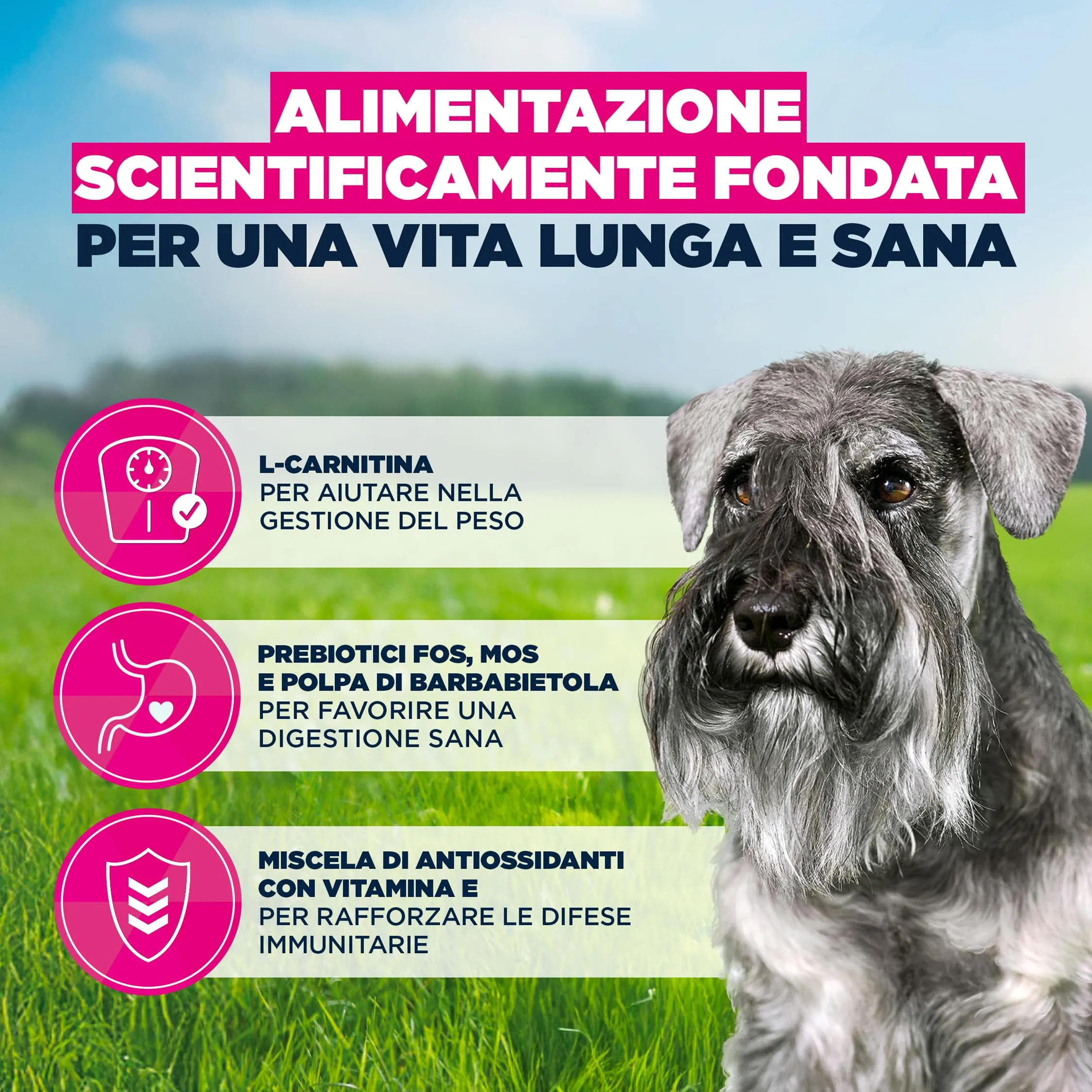 Eukanuba Crocchette per cani anziani taglia piccola con pollo fresco, 3 kg - immagine 5