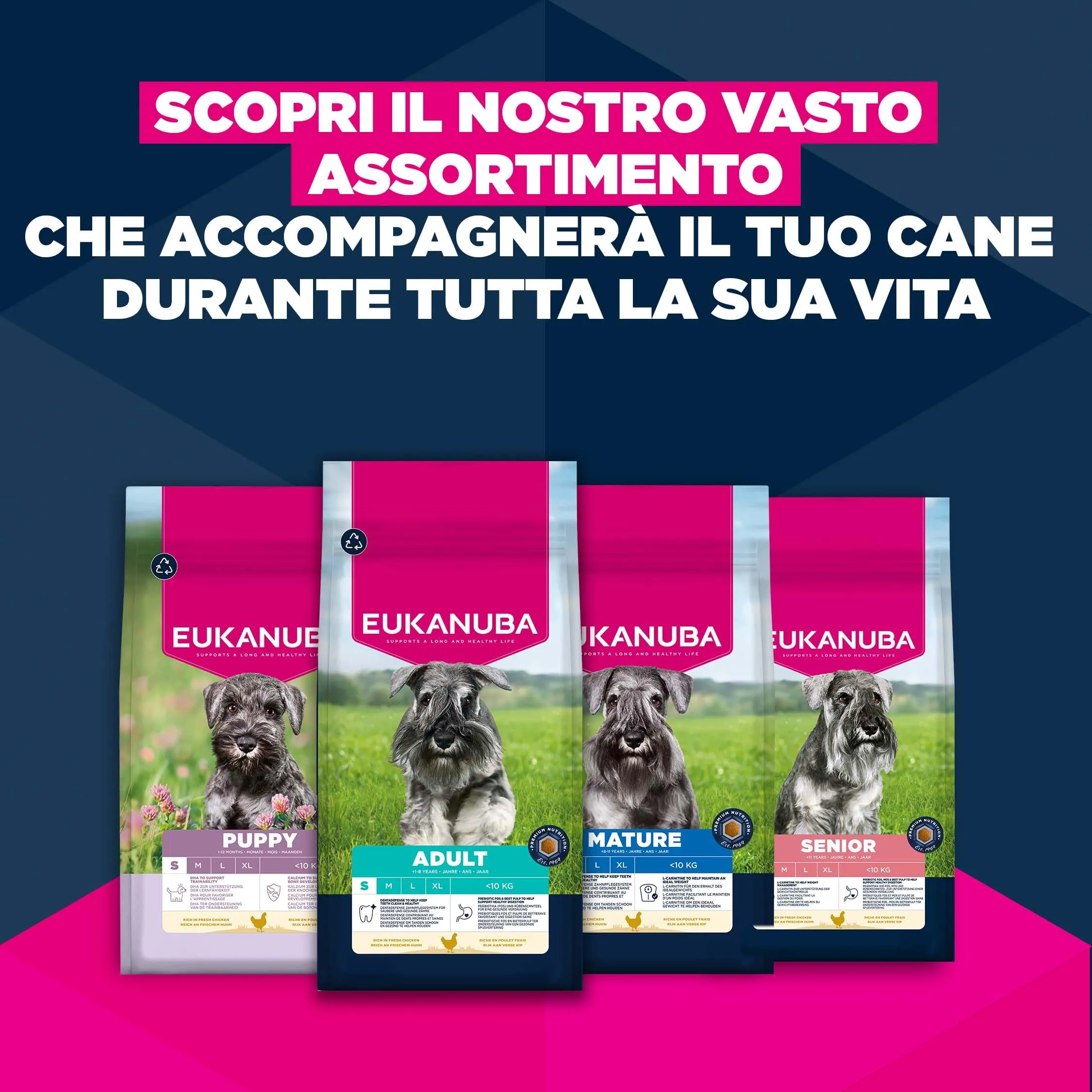 Eukanuba Crocchette per cani anziani taglia piccola con pollo fresco, 3 kg - immagine 10