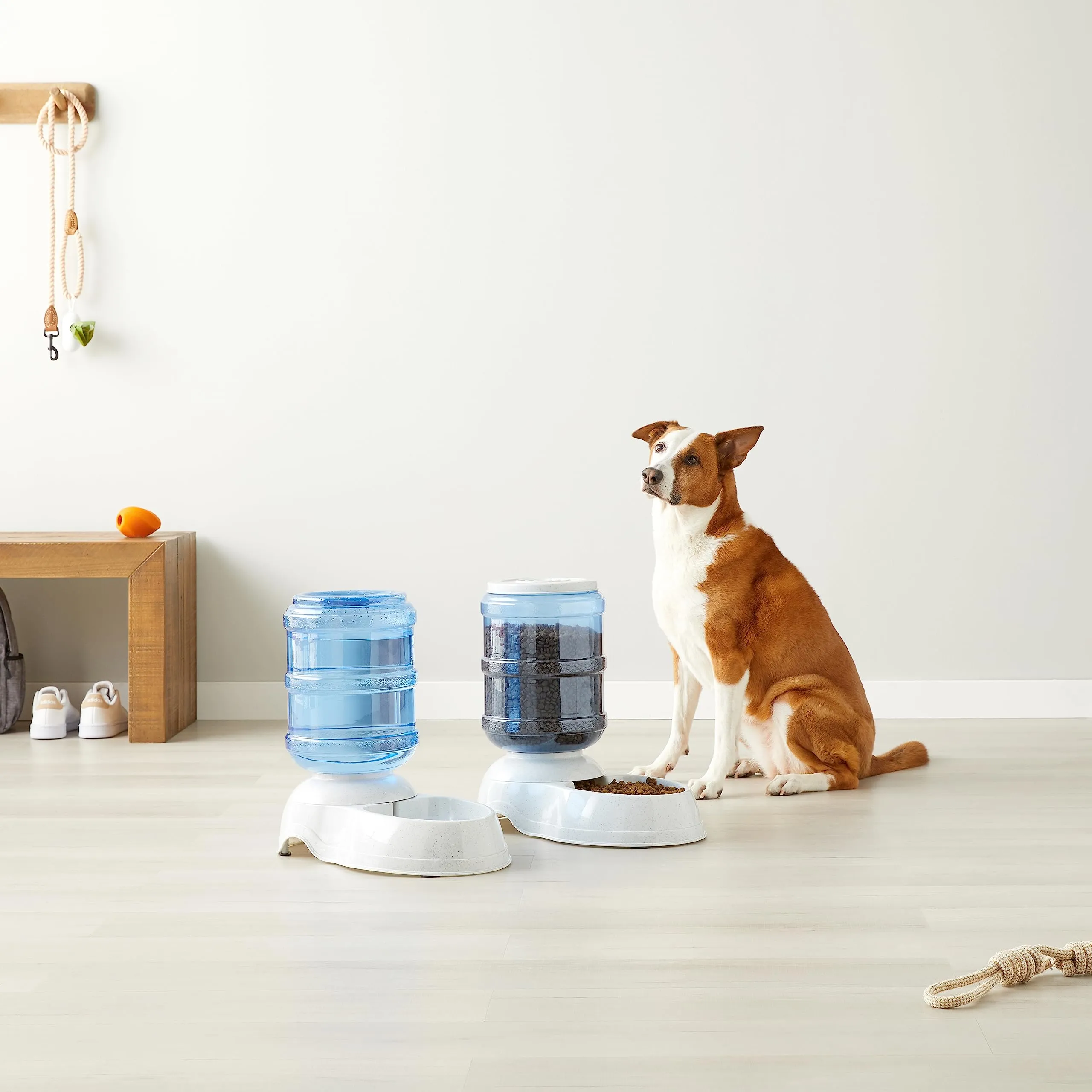 Amazon Basics Dosatore di Cibo (5,44 kg) e Acqua (9,46 l) per Animali Domestici, Misura Grande - immagine 6