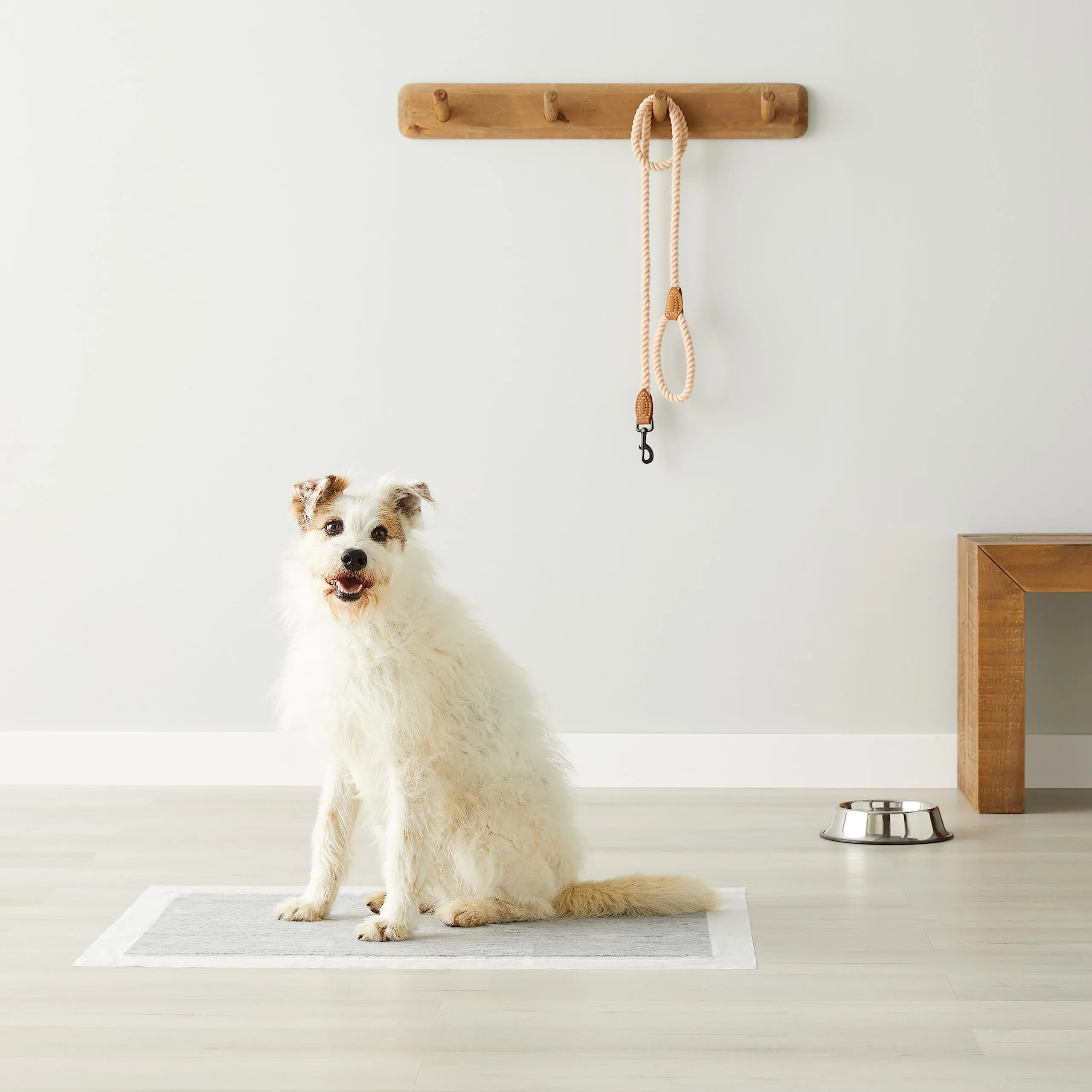 Amazon Basics Tappetini igienici al carbone per cani e cuccioli, XL, grigio, confezione da 50 - immagine 6