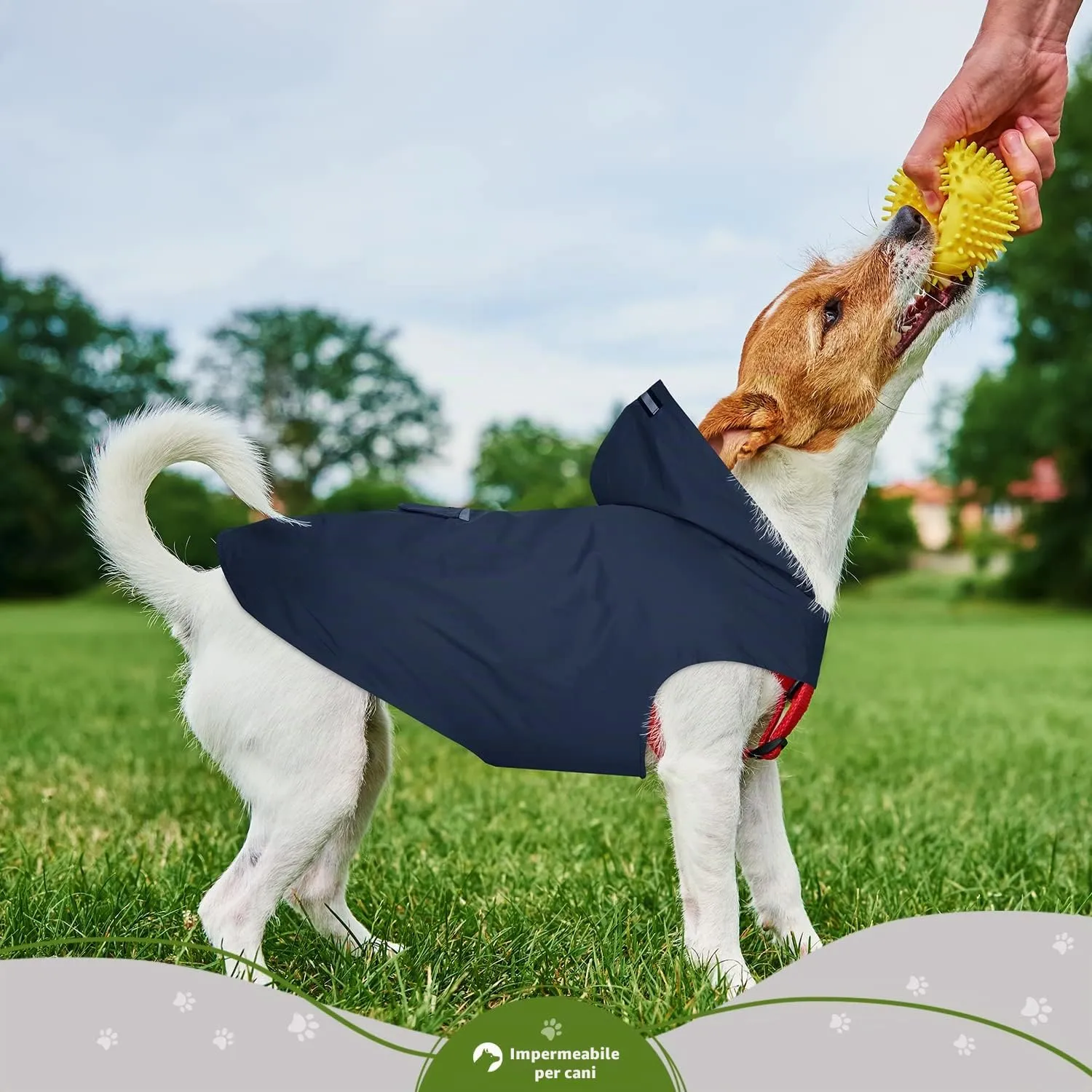 Zellar Impermeabile per Cani con Cappuccio, Foro per Colletto e Strisce Riflettenti, Taglia 3XL, Blu - immagine 6