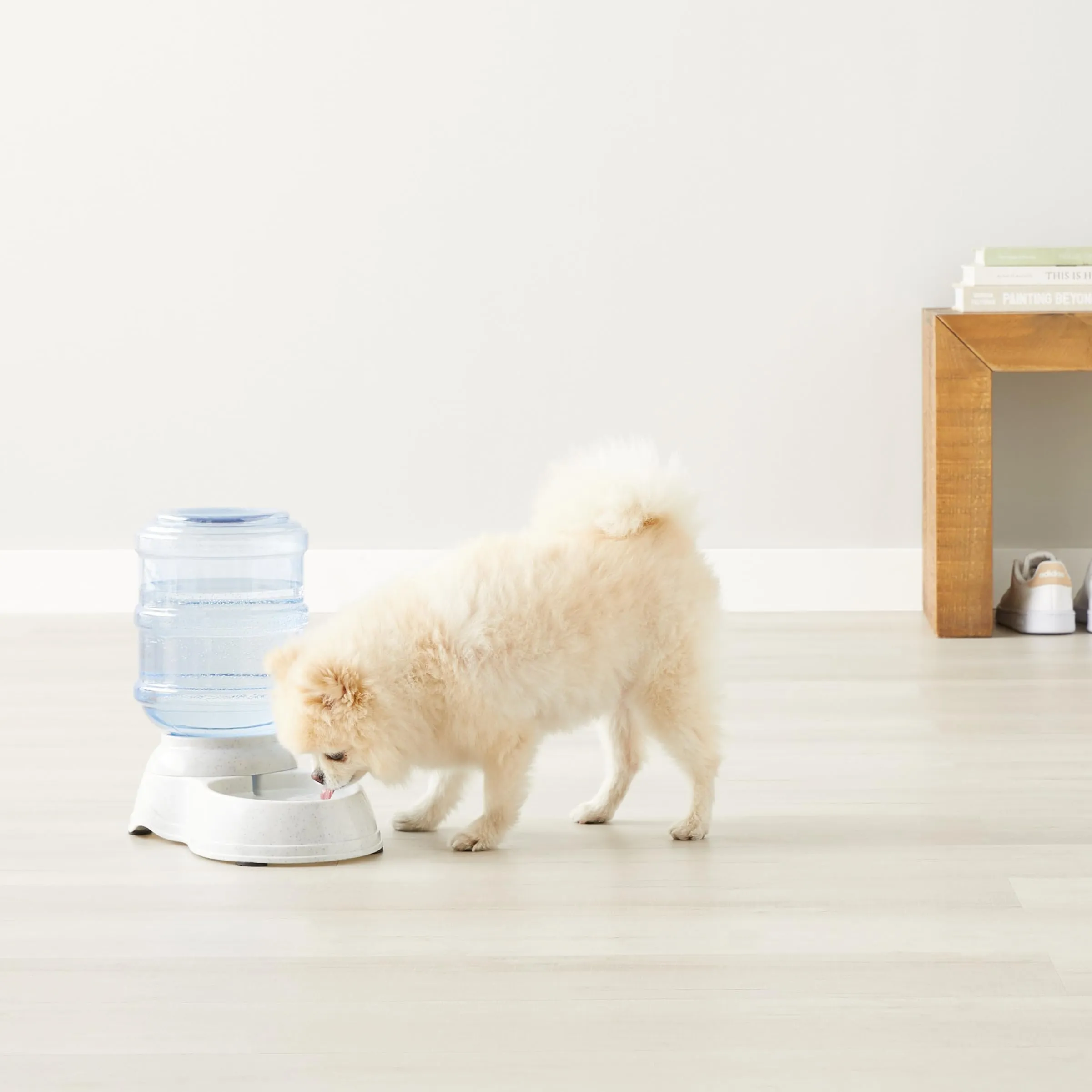 Amazon Basics Distributore di acqua per cani e gatti, 3.8 litri, Misura Piccola - immagine 7
