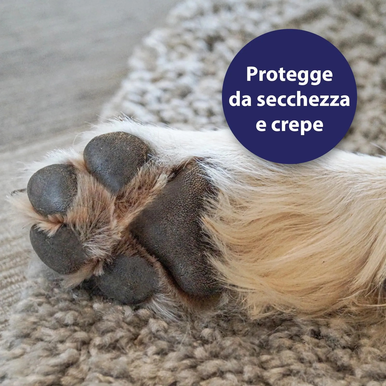 Canosept Cura Per Le Zampe Per Cani 75g - immagine 3
