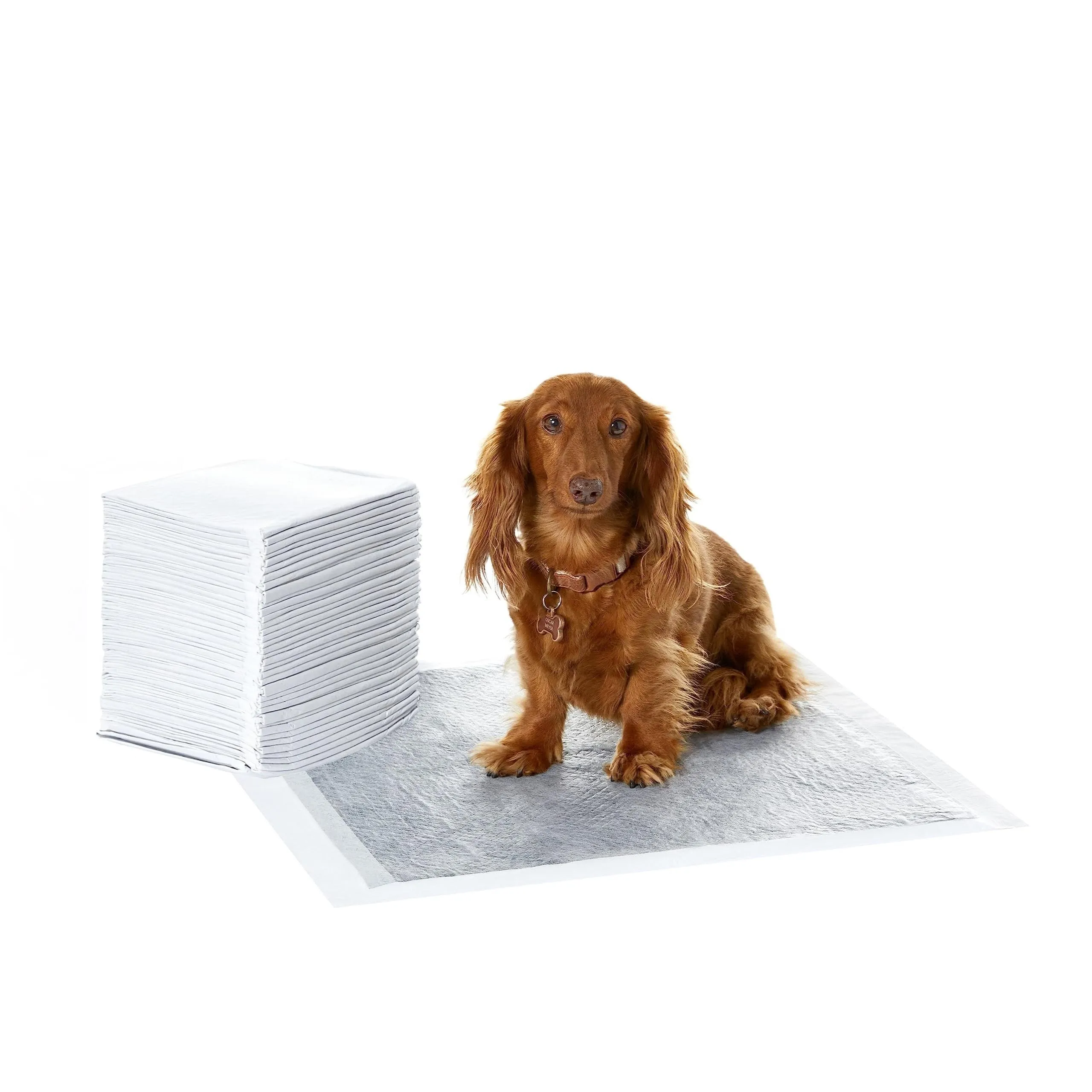 Amazon Basics Tappetini al carbone per addestramento cani e cuccioli, prova di perdite, dimensione standard, 56 x 56 cm, Grigio (confezione da 40) - immagine 1