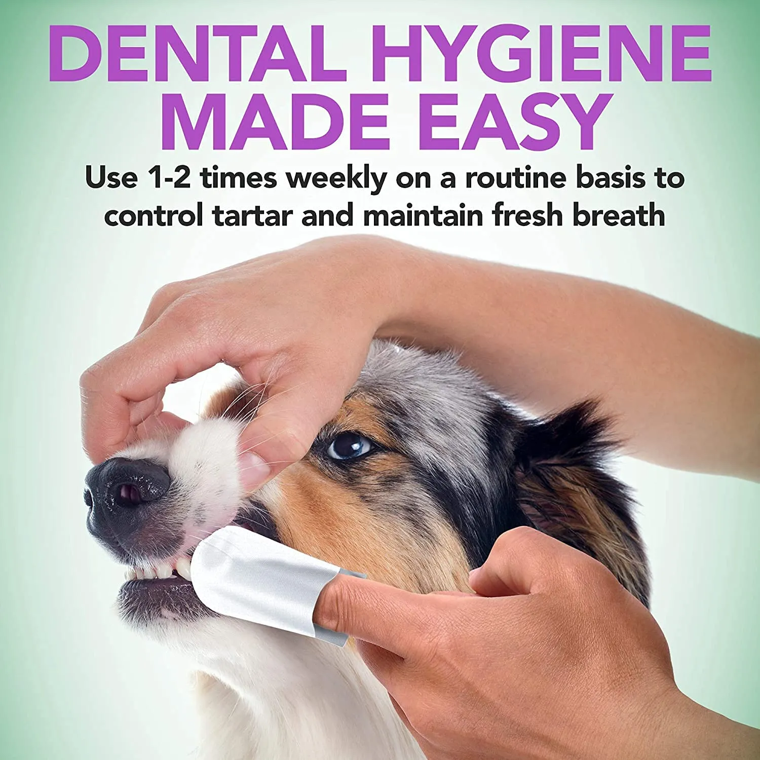 Vet's Best Salviette Dentali per Dita Cani e Gatti, 50 Monouso - immagine 7
