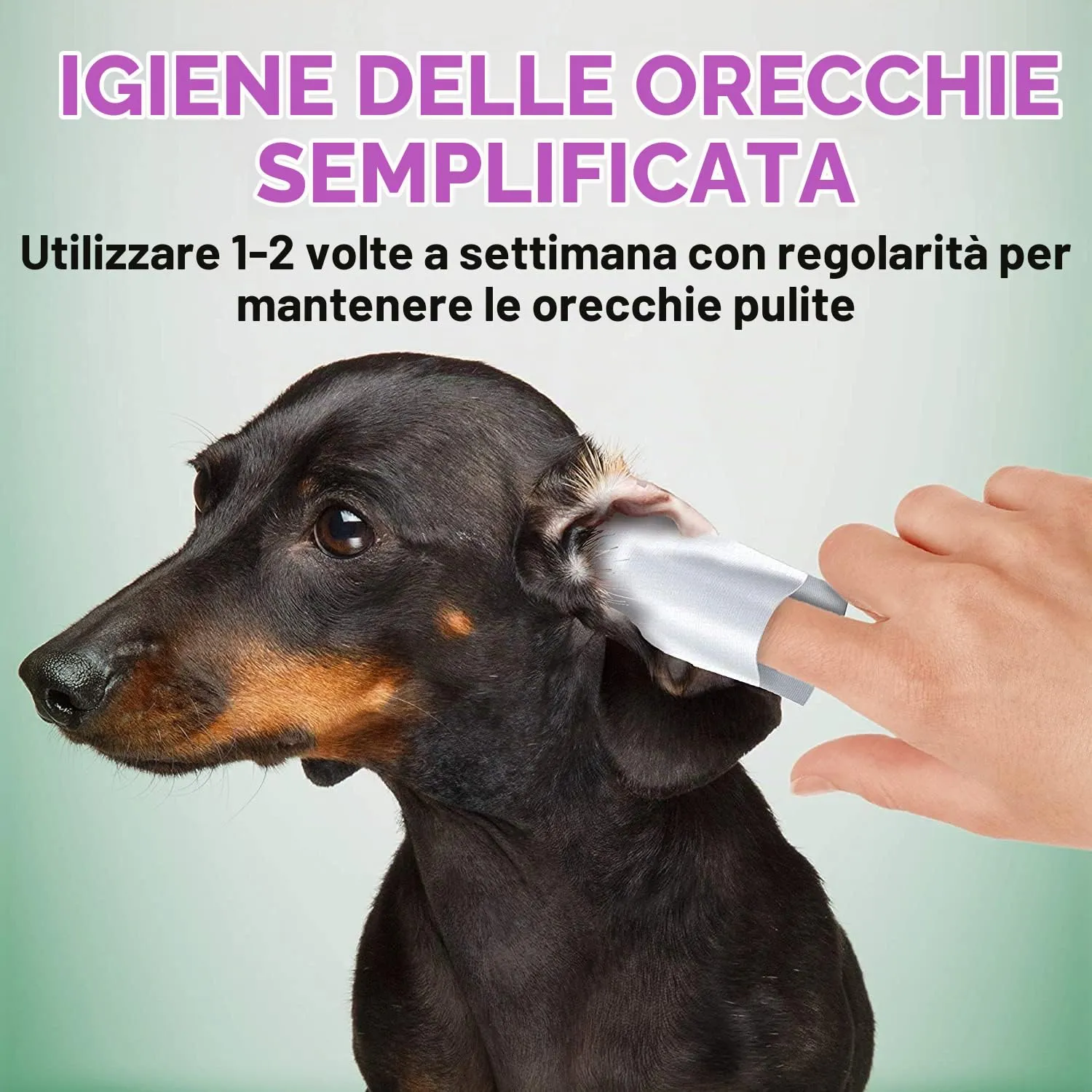 Vet's Best Salviettine Pulizia Orecchie per Cani, 50 Pezzi - immagine 6