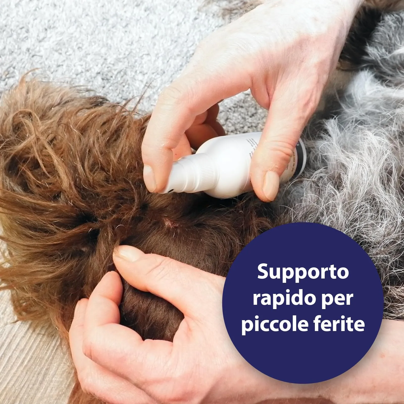 Canosept Spray Per Ferite Per Cani 75 ml - immagine 2