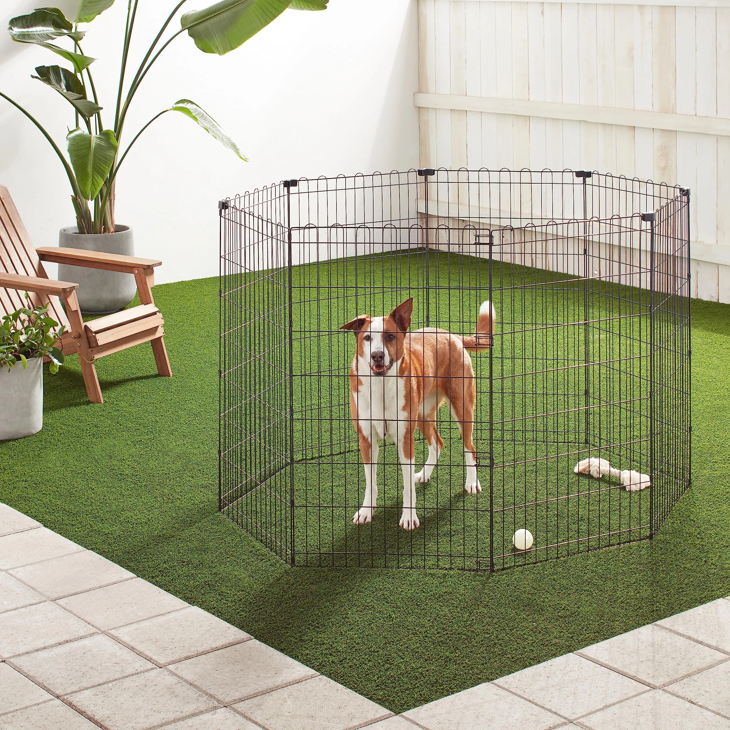 Amazon Basics Box per Esercizi per Cani e Animali Domestici in Metallo Pieghevole, 107 cm - immagine 5