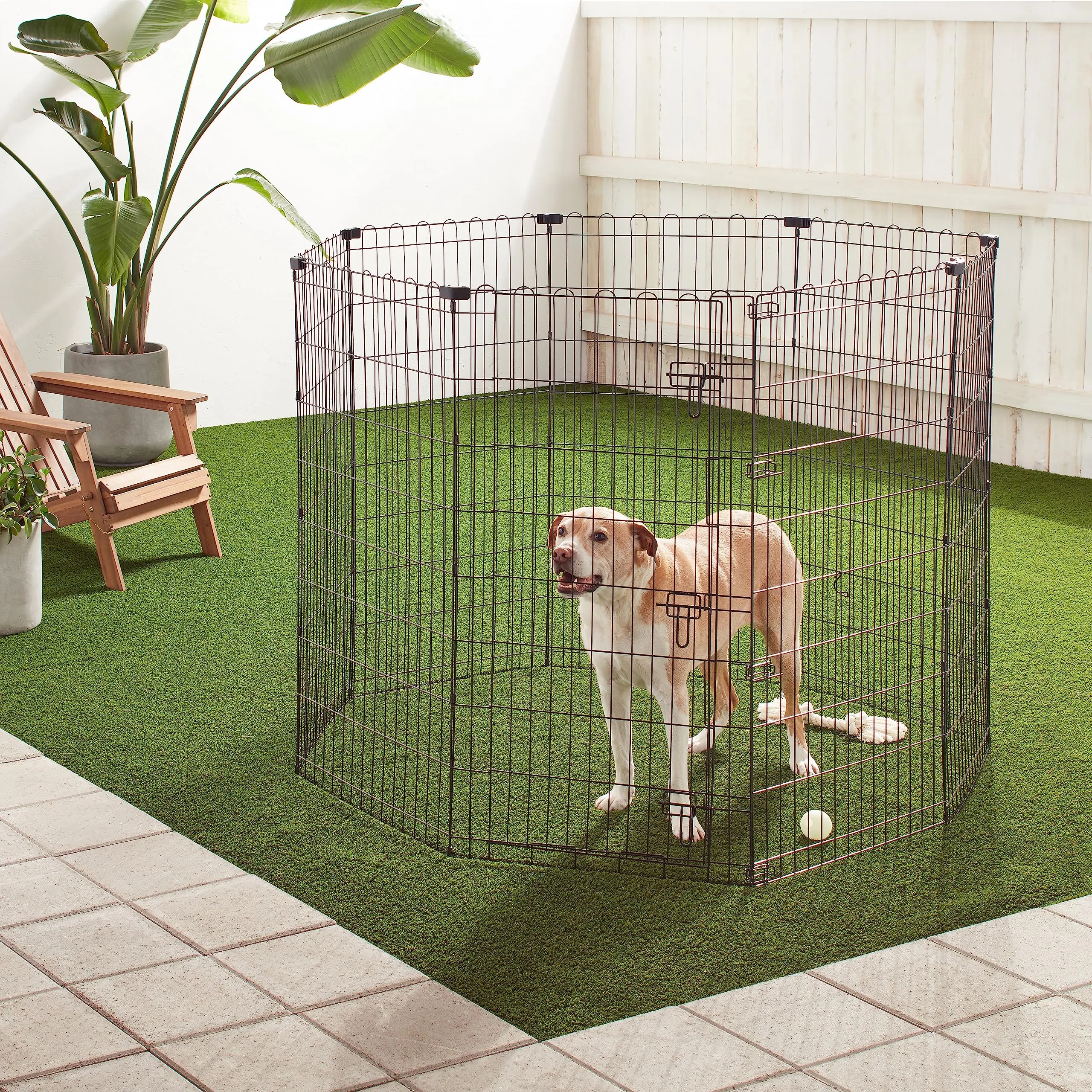 Amazon Basics Recinto per Cani da Interno, Ottagonale Pieghevole in Metallo, 122 cm, Nero - immagine 5
