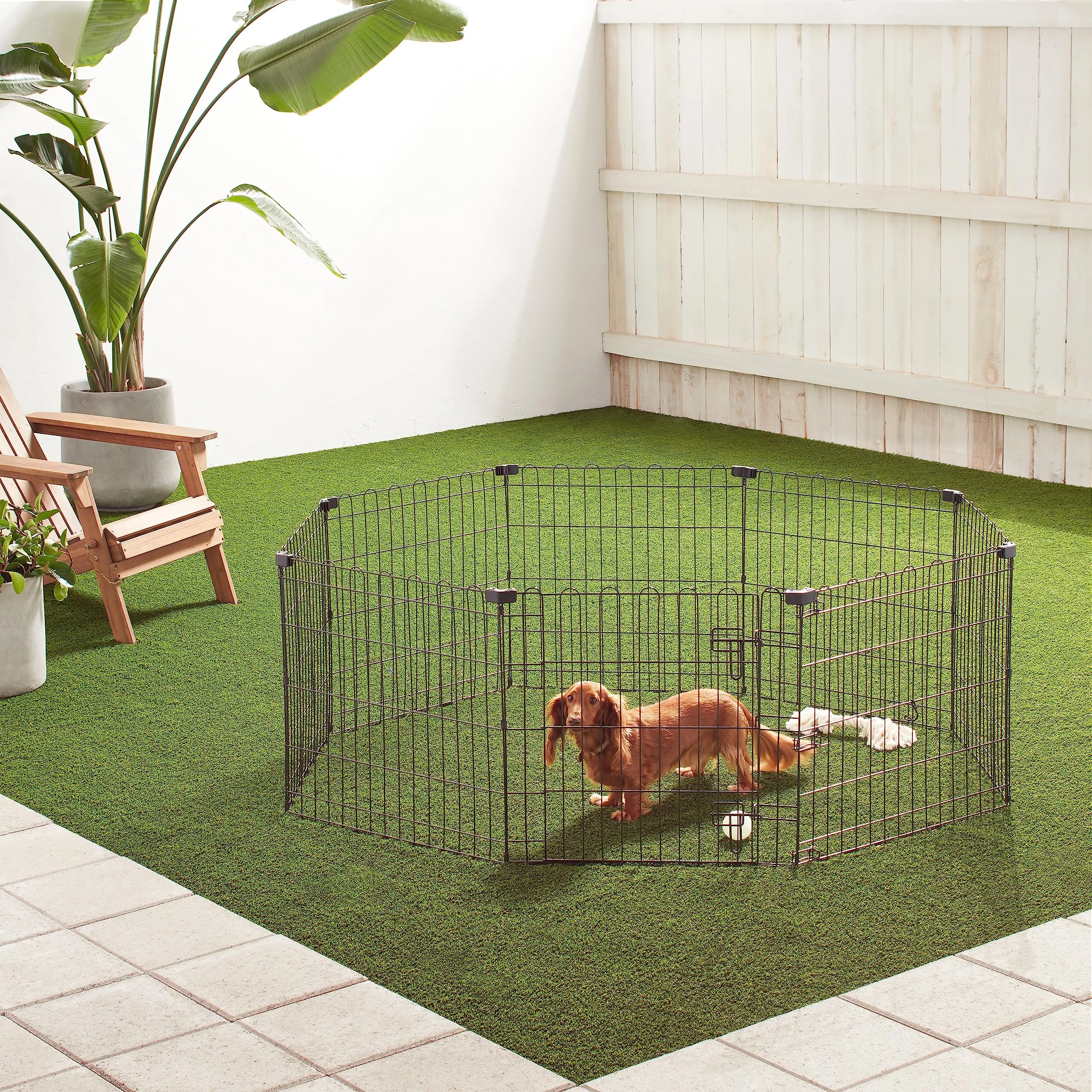 Amazon Basics Recinto per Cani da Interno, Ottagonale Pieghevole in Metallo, 61 cm, Nero - immagine 5