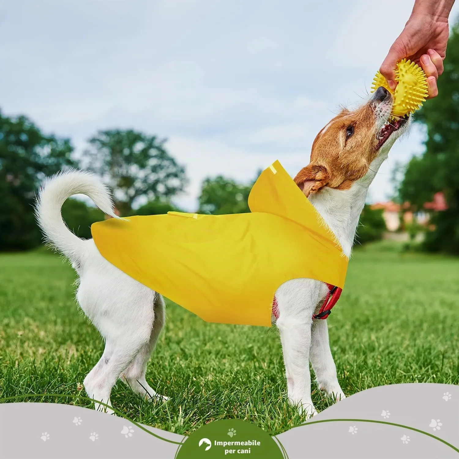 Zellar Impermeabile per Cani con Cappuccio, Foro per Colletto e Strisce Riflettenti, Giallo, Taglia 3XL - immagine 6