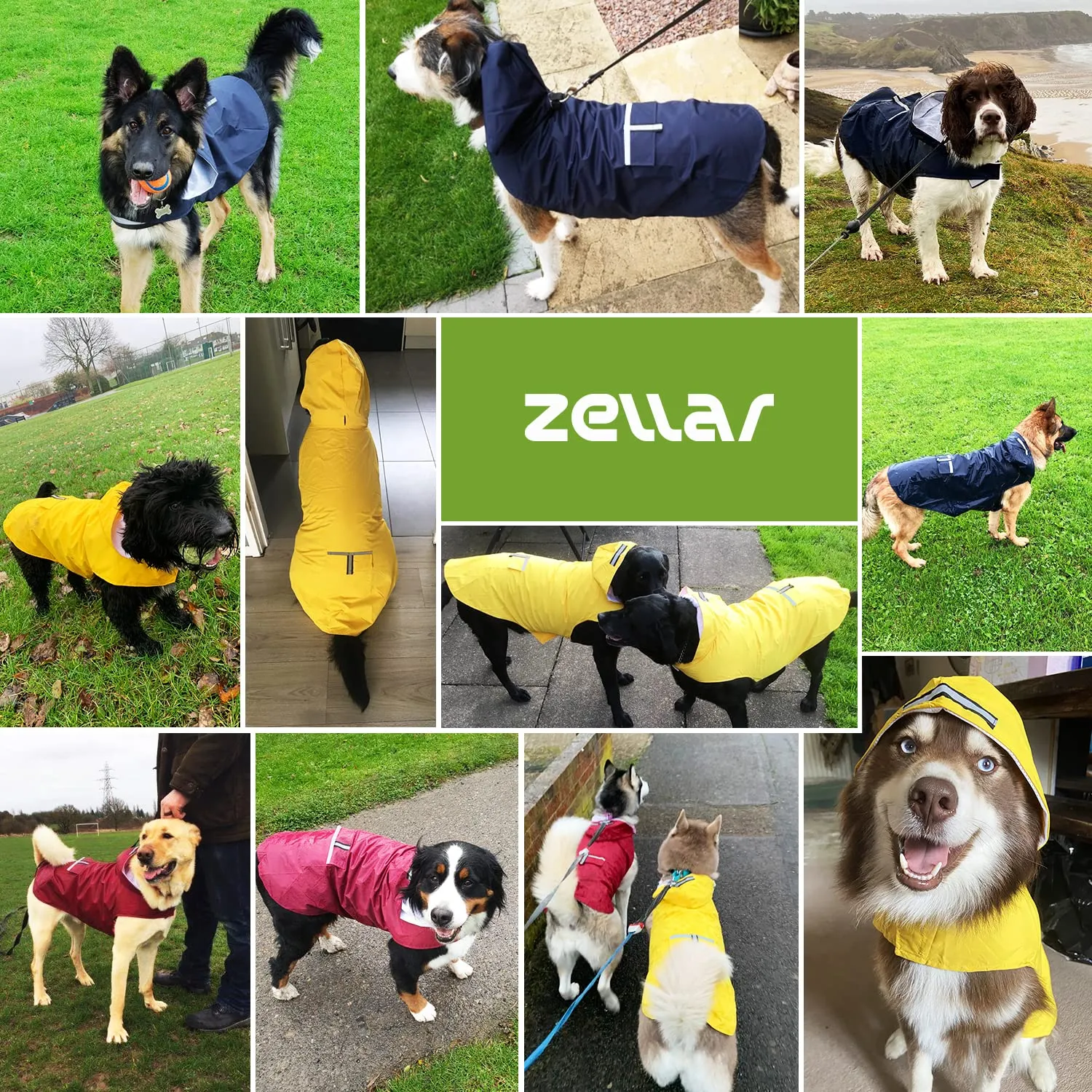 Zellar Impermeabile per Cani con Cappuccio, Foro per Colletto e Strisce Riflettenti, Taglia 5XL - immagine 7