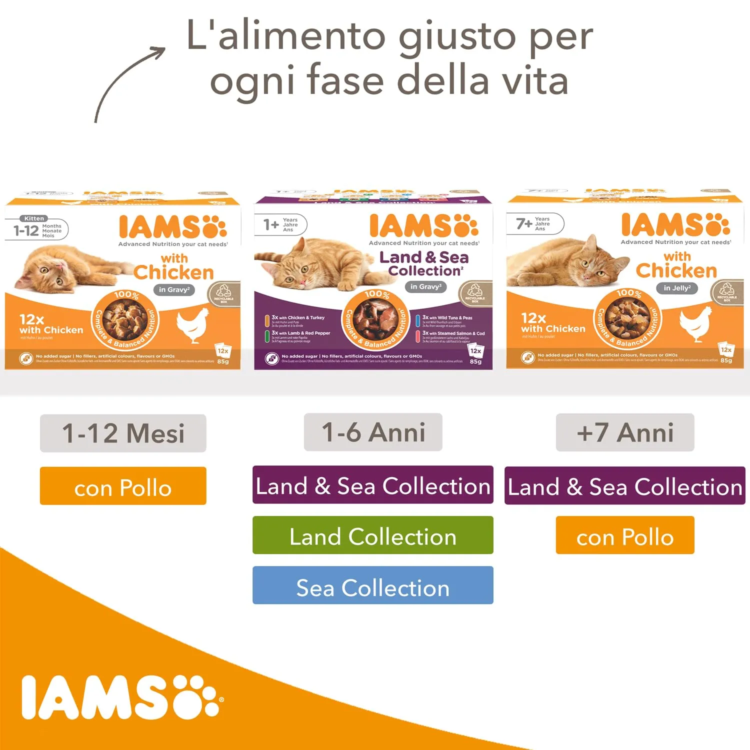 IAMS Delights Kitten Cibo Umido per Gattini con Pollo in Salsa, 12 x 85 g - immagine 4