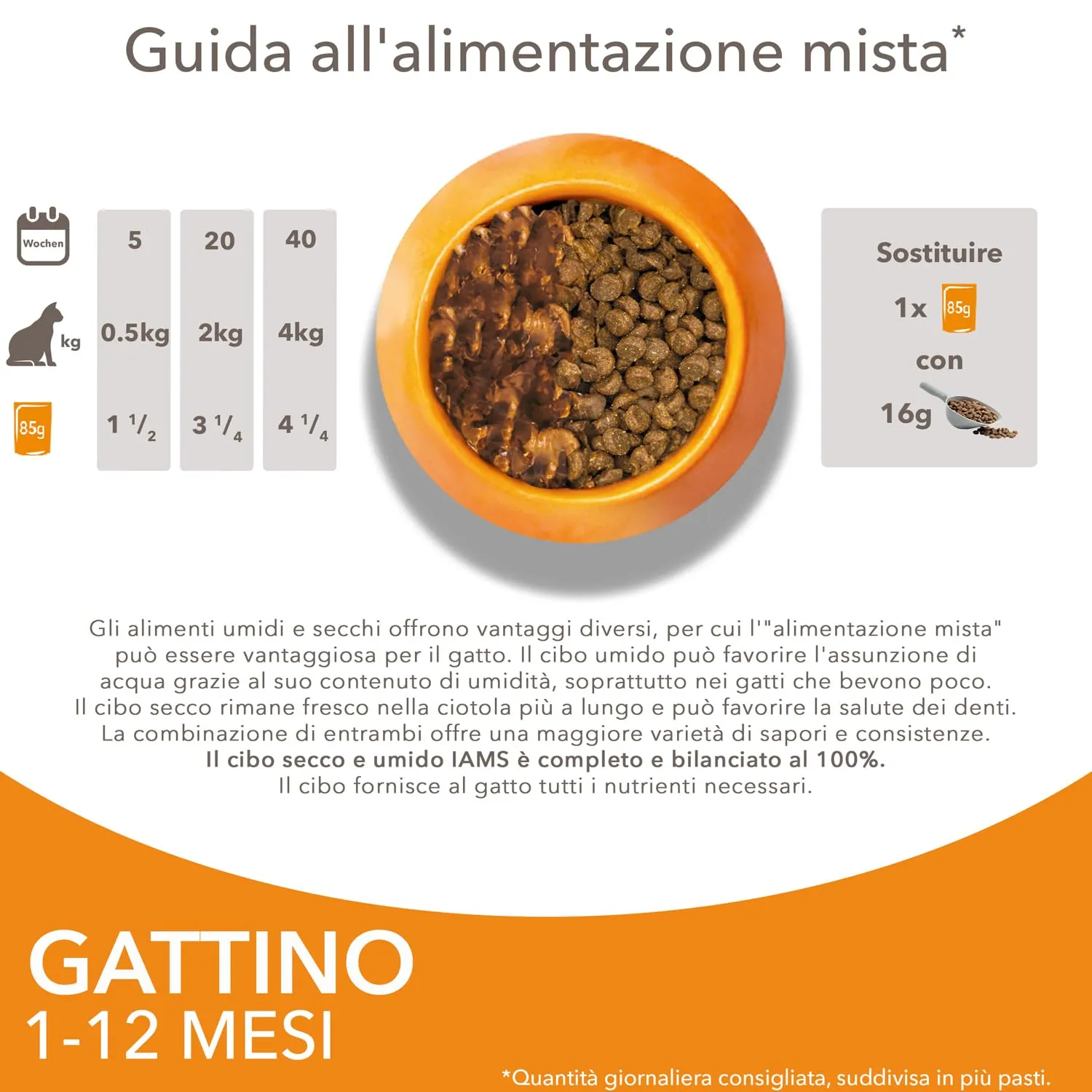 IAMS Delights Kitten Cibo Umido per Gattini con Pollo in Salsa, 12 x 85 g - immagine 6