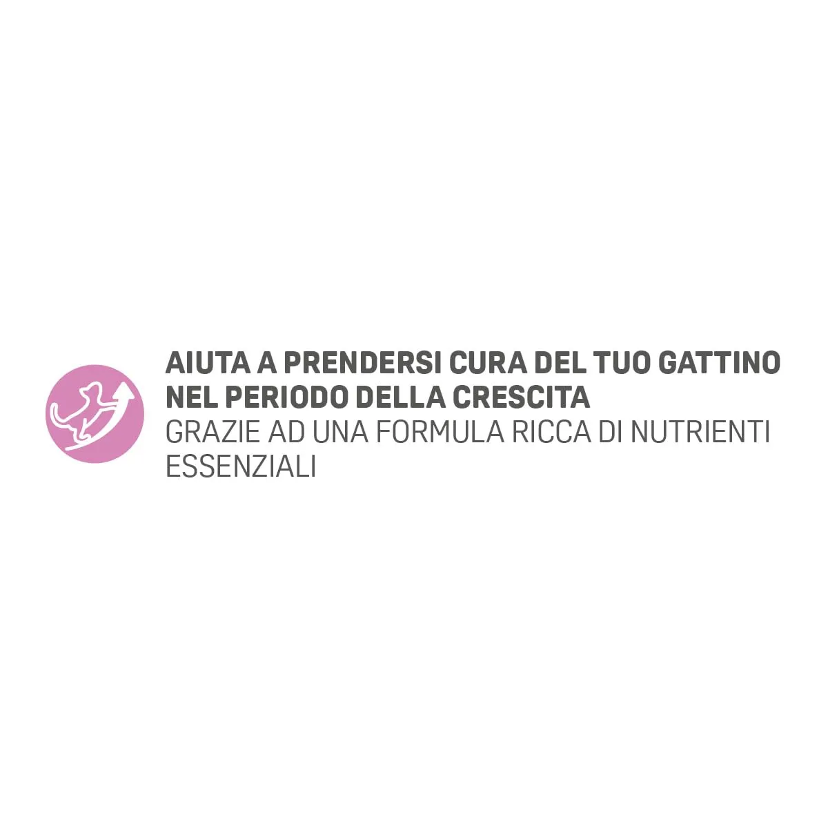 Trainer Natural Cat Kitten 1.5 kg - immagine 4