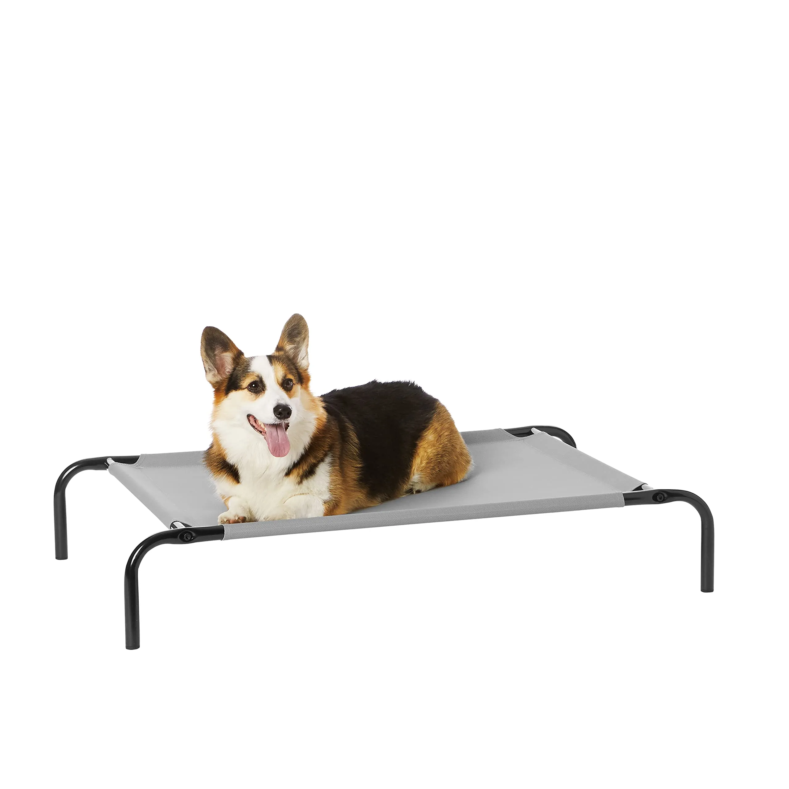 Amazon Basics Lettino Rialzato per Animali Domestici, Stoffa, Grigio, Misura M, 110 x 65 x 19 cm - immagine 1