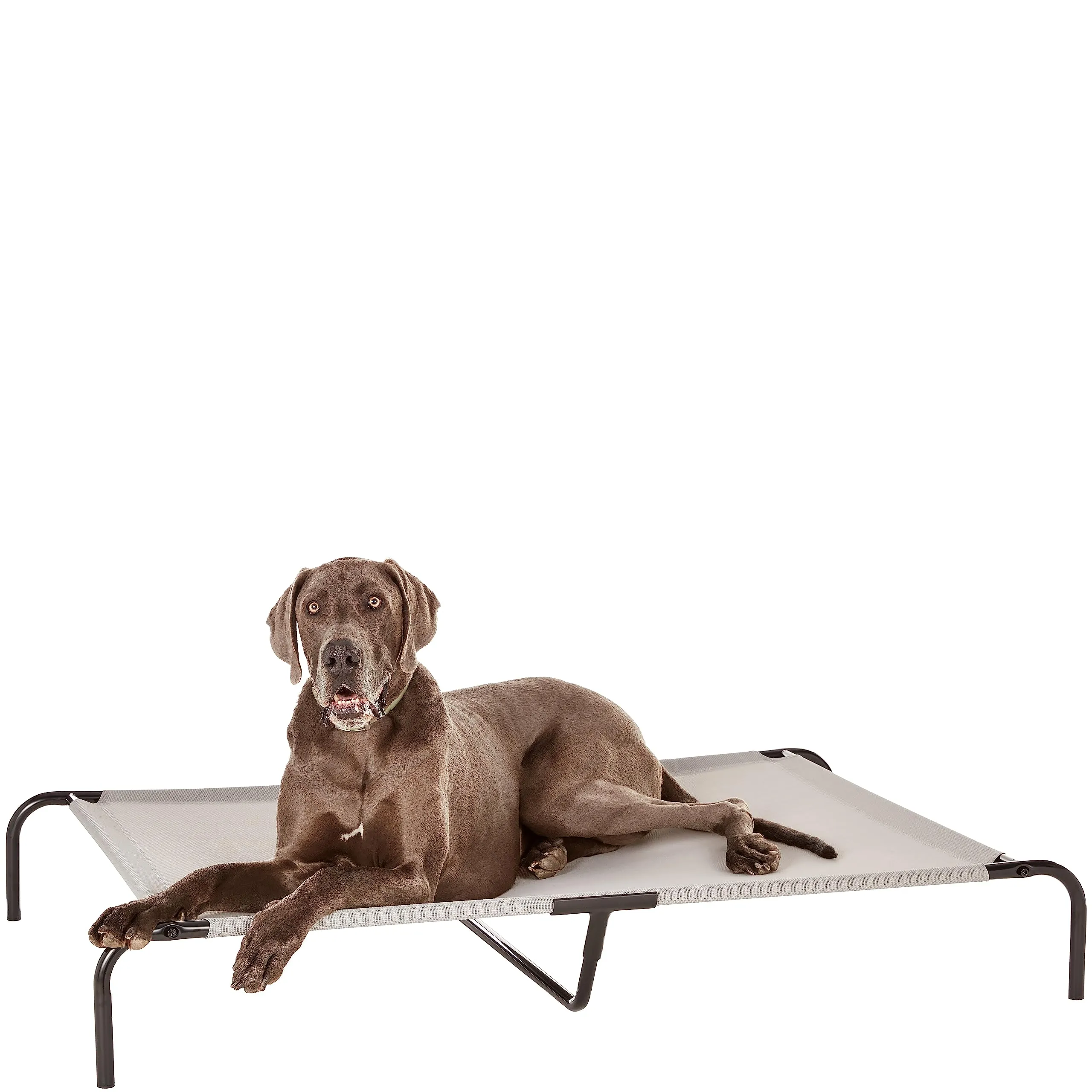 Amazon Basics Lettino Rialzato per Animali Domestici, XL, Grigio, 153 x 94 x 23 cm - immagine 1