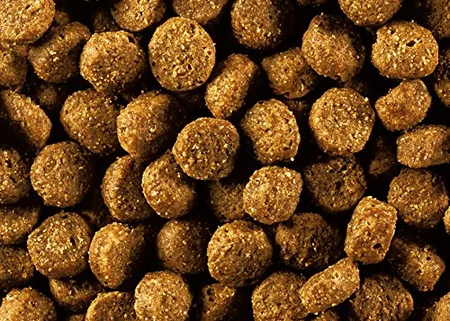 Eukanuba Cibo per cuccioli con agnello e riso per razze di taglia grande, 2,5 kg - immagine 2