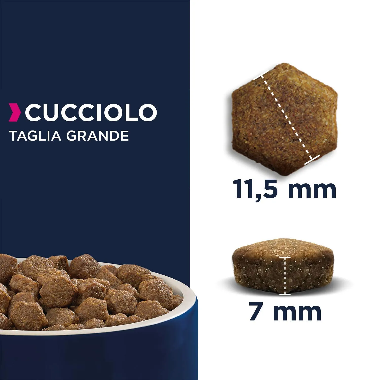 Eukanuba Cibo Secco per Cuccioli di Taglia Grande, Agnello e Riso, 12 kg - immagine 4