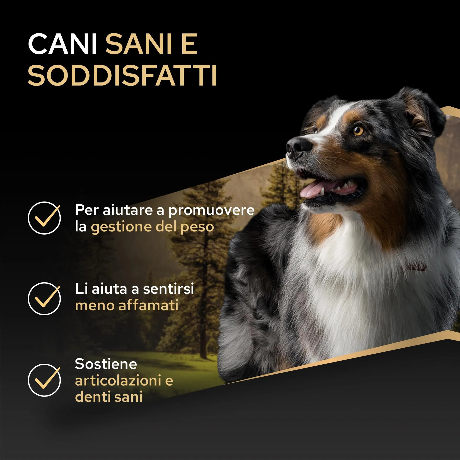 Purina Pro Plan Optiweight Adult Crocchette Cani 14 kg - immagine 2