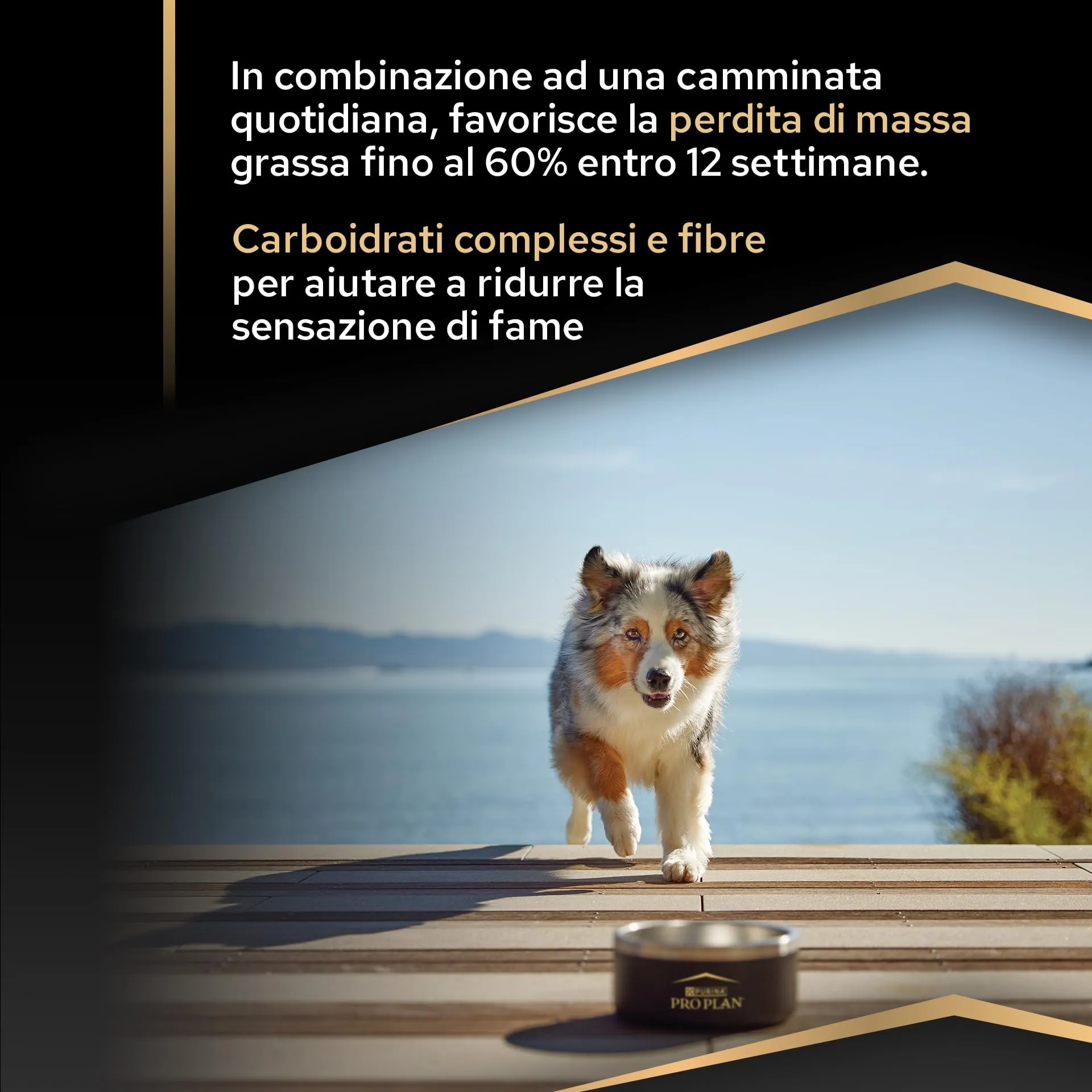 Purina Pro Plan Optiweight Adult Crocchette Cani 14 kg - immagine 3