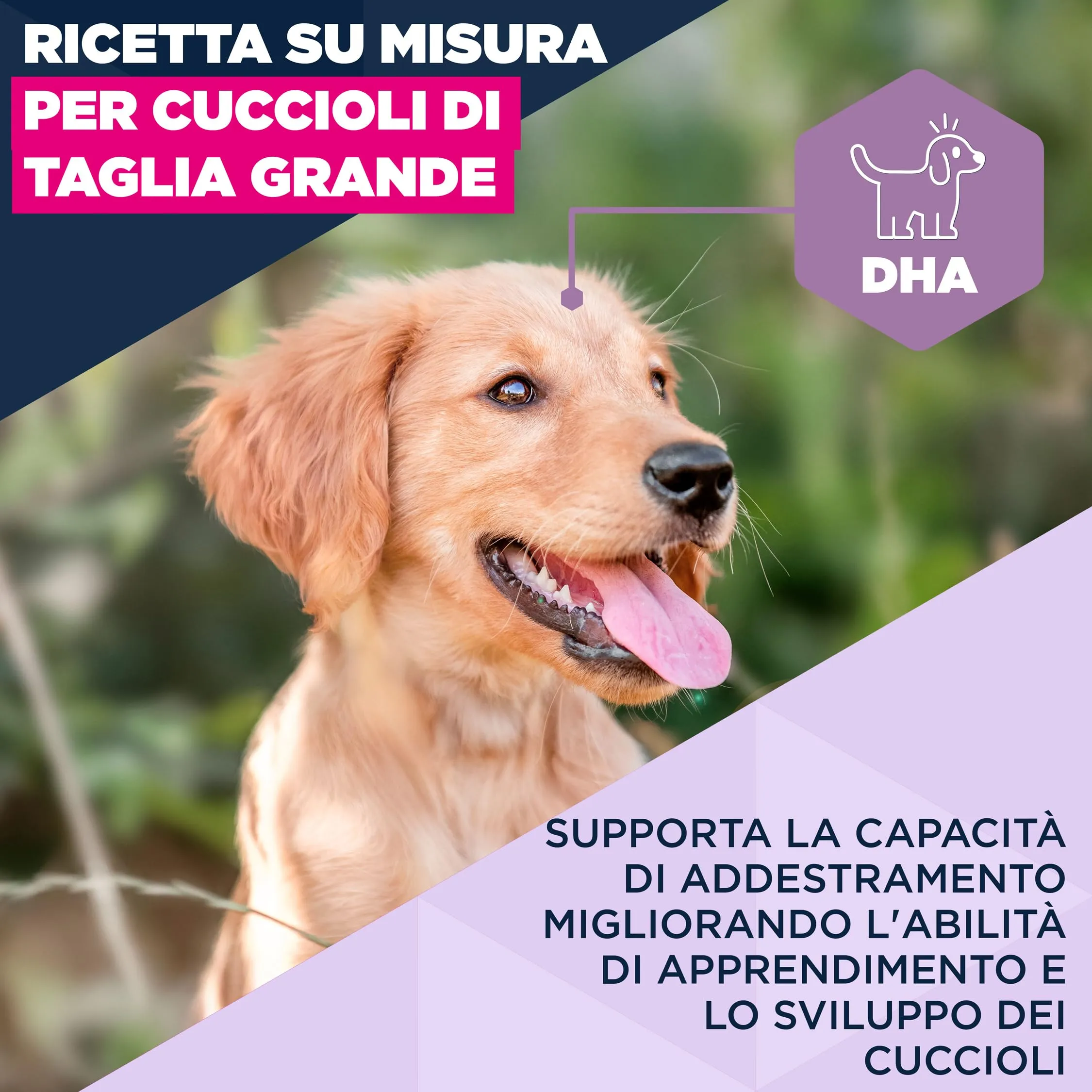 Eukanuba Crocchette per cuccioli taglia grande con agnello e riso, 12 kg - immagine 3