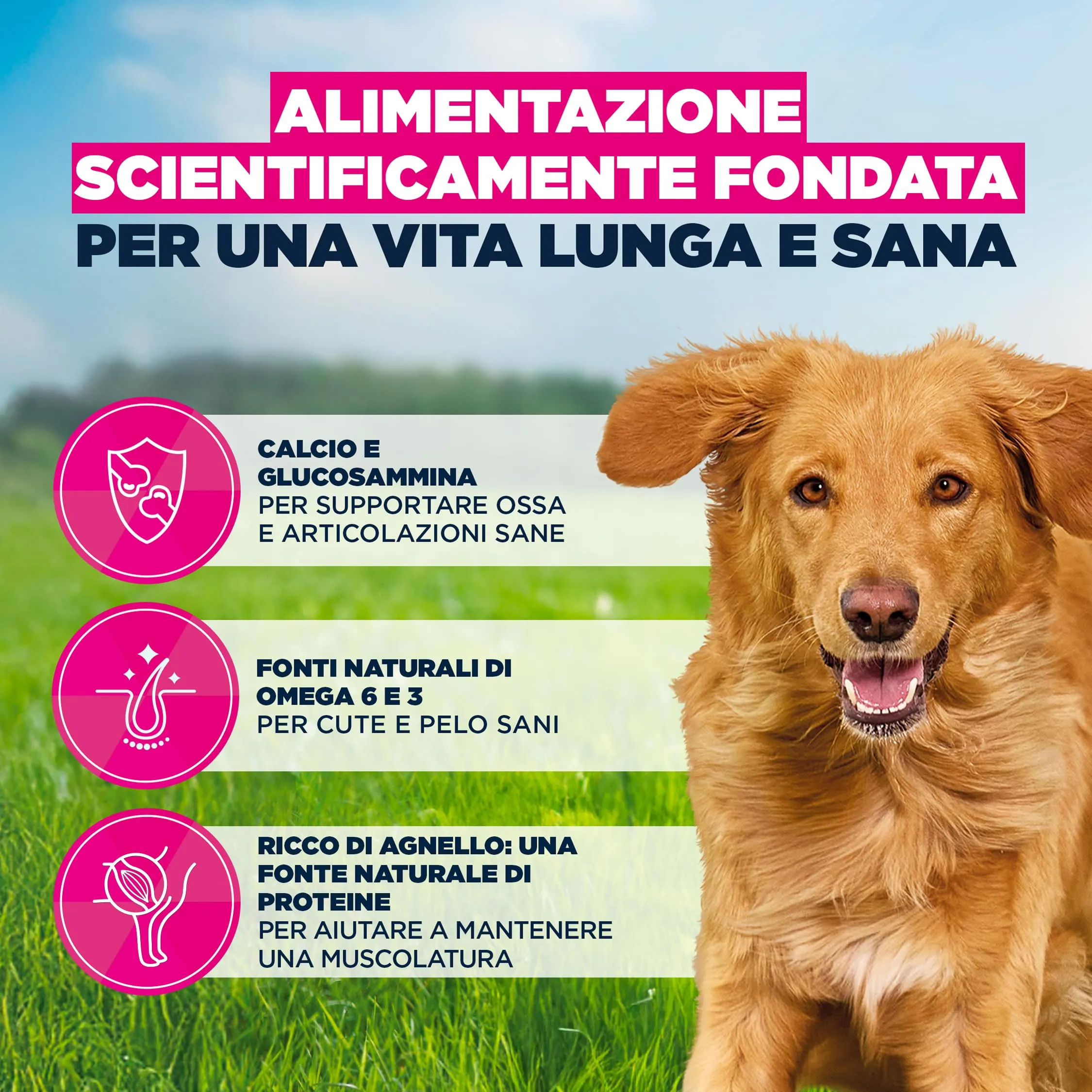 Eukanuba Crocchette per cani adulti taglia grande con agnello e riso, 3 kg - immagine 5