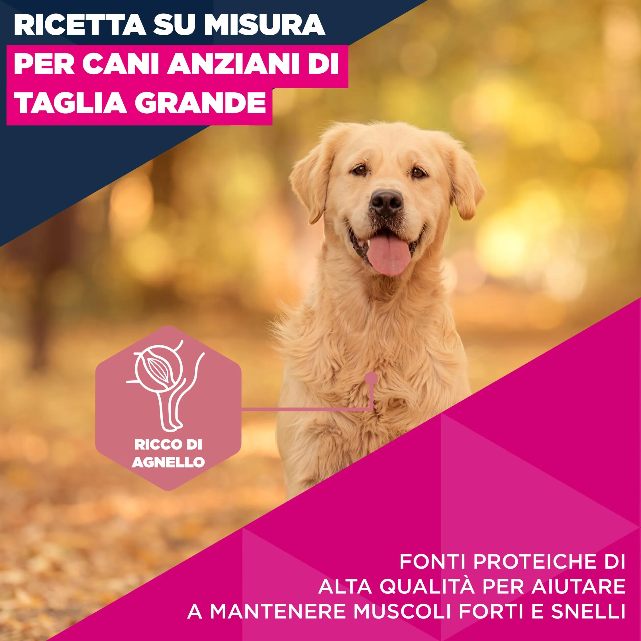 Eukanuba Crocchette per cani anziani taglia grande, agnello e riso, 12 kg - immagine 3