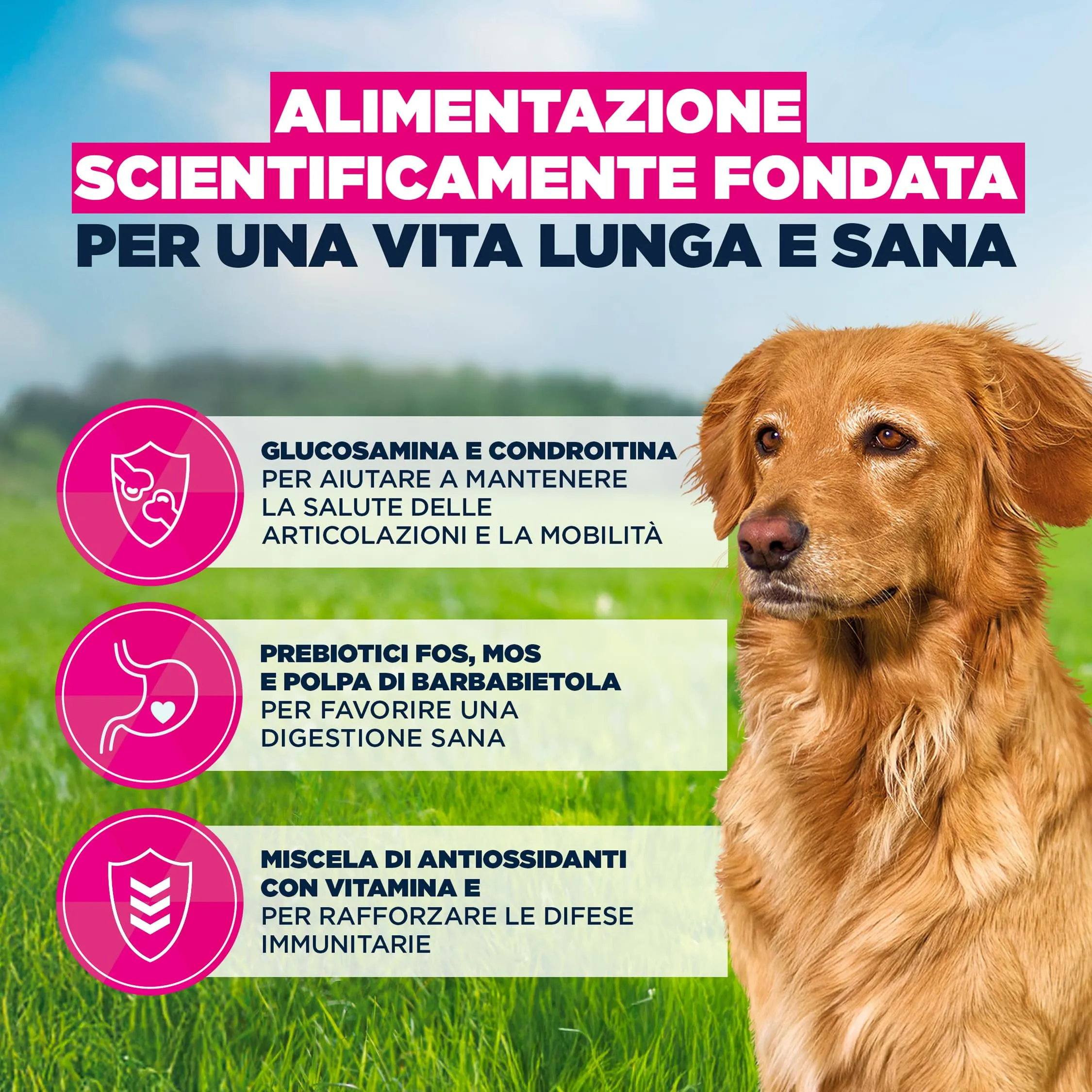 Eukanuba Crocchette per cani anziani taglia grande, agnello e riso, 12 kg - immagine 5