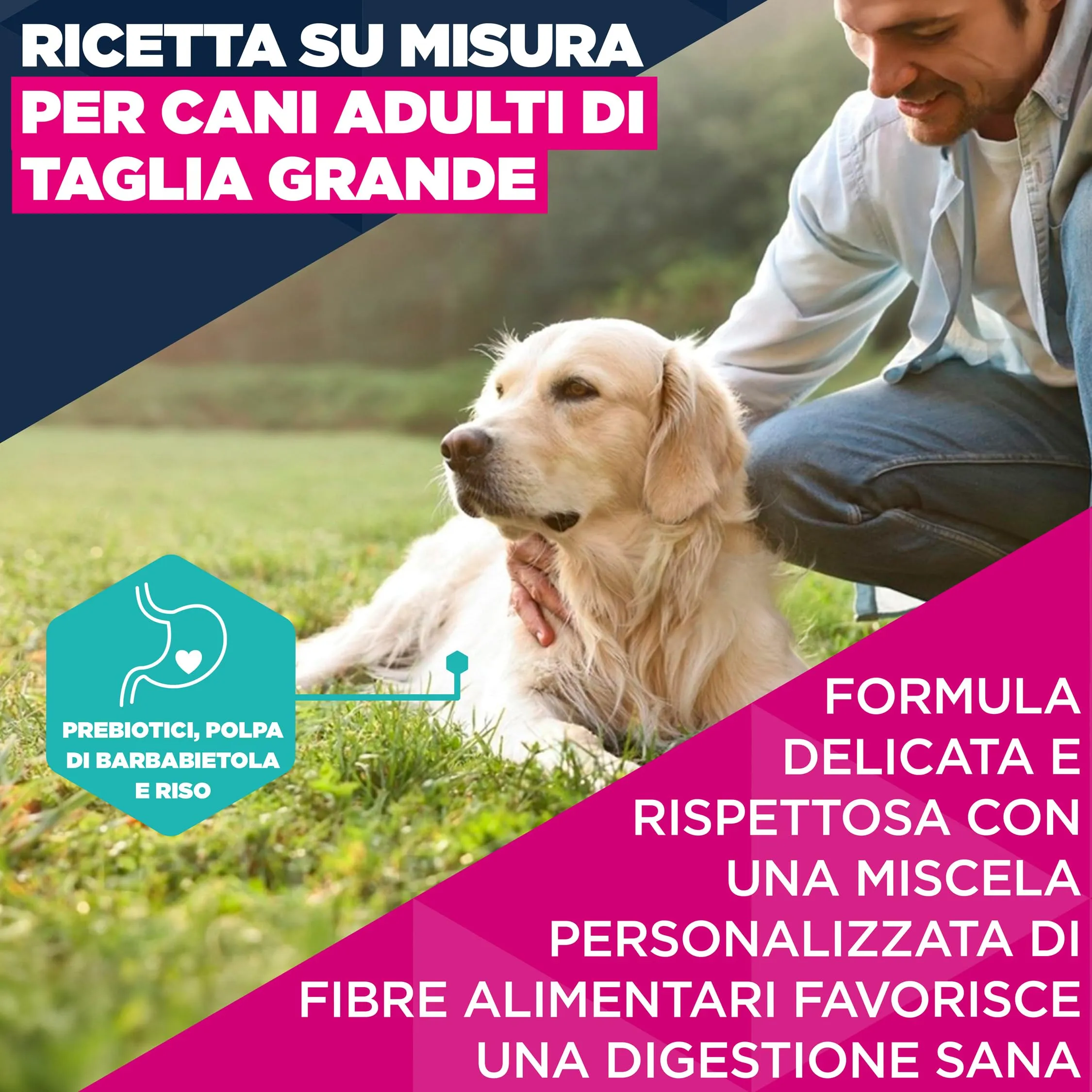 Eukanuba Crocchette per cani adulti taglia grande con agnello e riso, 12 kg - immagine 3