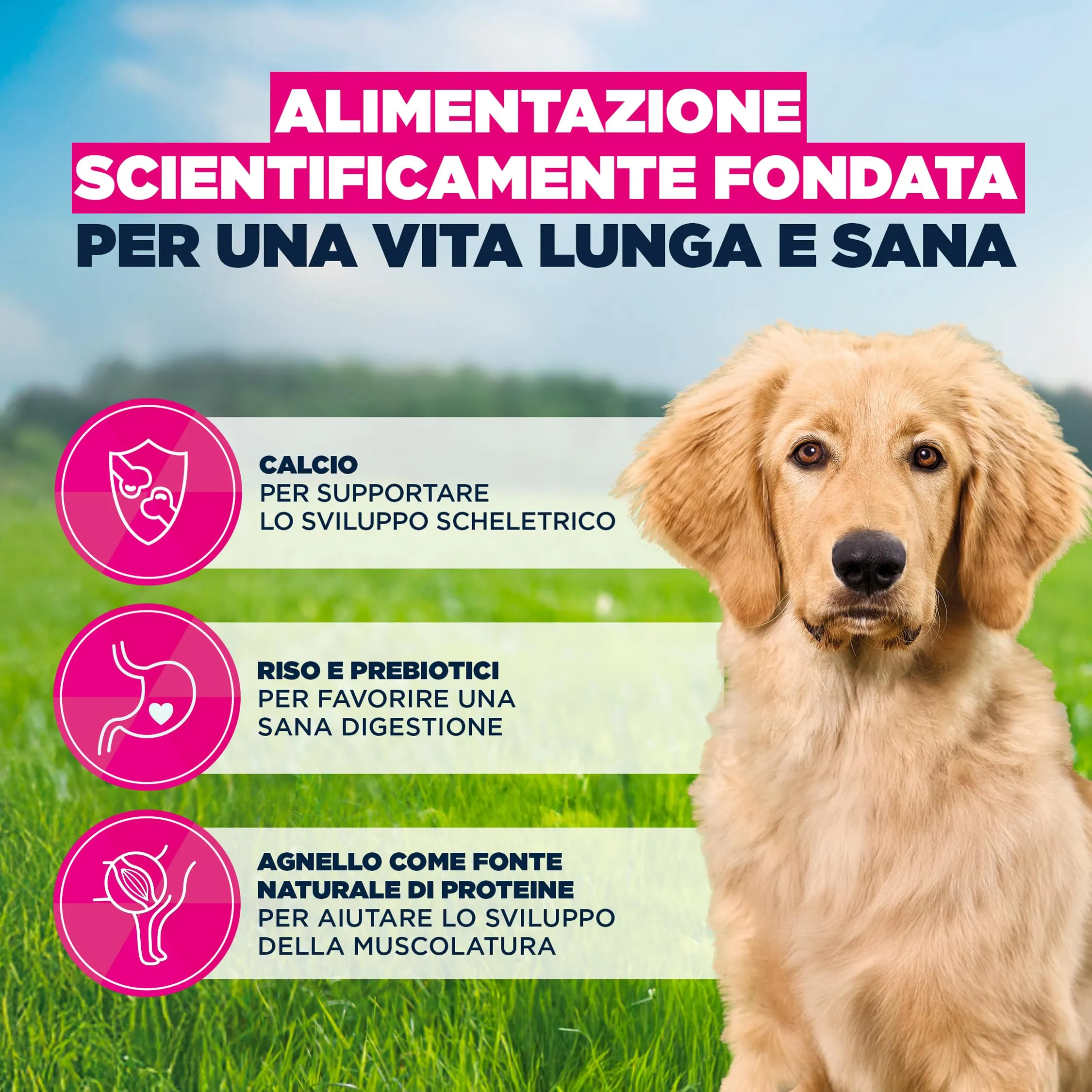 Eukanuba Crocchette per cuccioli taglia grande con agnello e riso, 3 kg - immagine 5