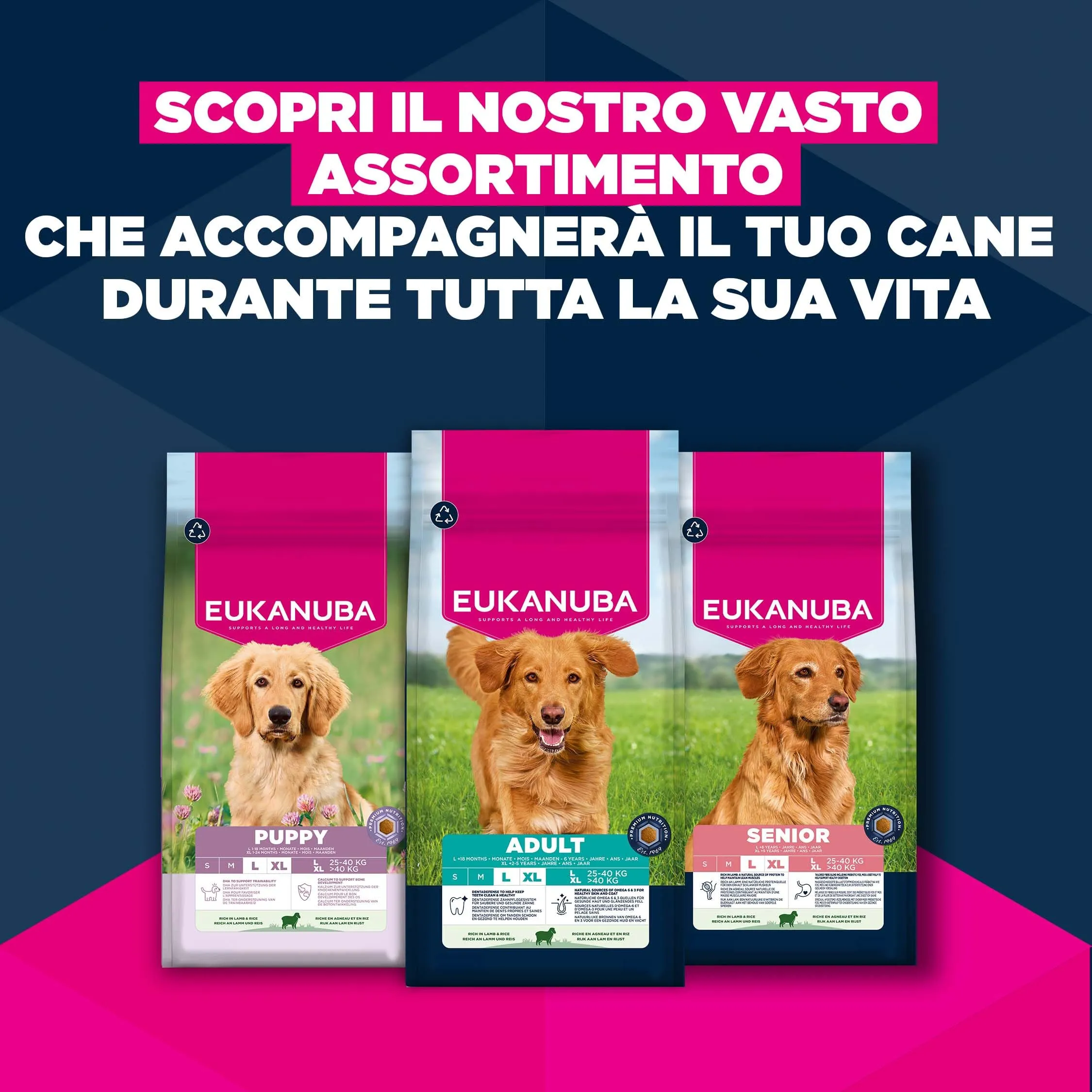 Eukanuba Crocchette per cuccioli taglia grande con agnello e riso, 3 kg - immagine 10