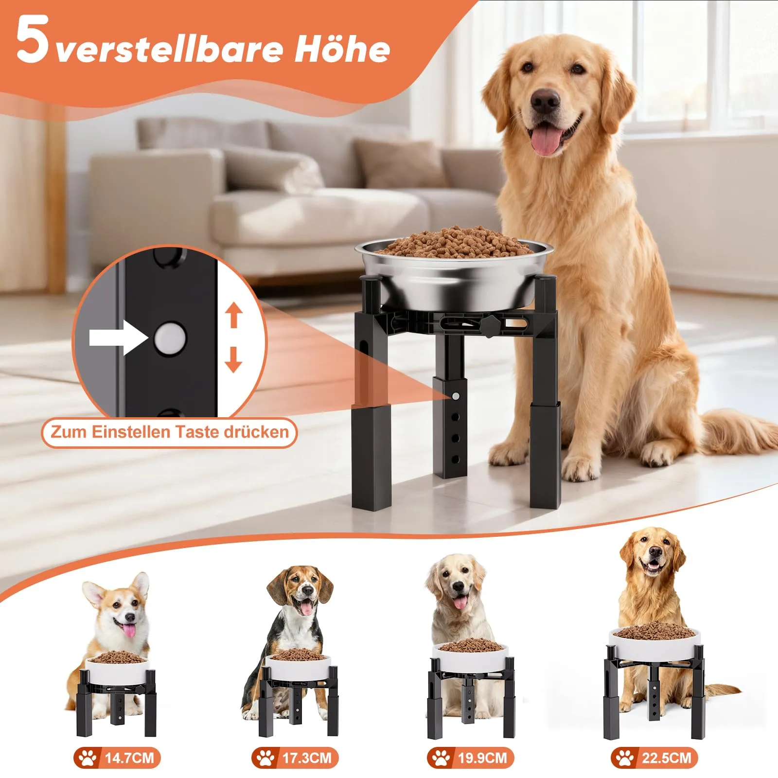 X XBEN Supporto per Ciotole Rialzate per Cani, 2 Pezzi, Altezza e Larghezza Regolabili, Antiscivolo [Solo Supporto] - immagine 2