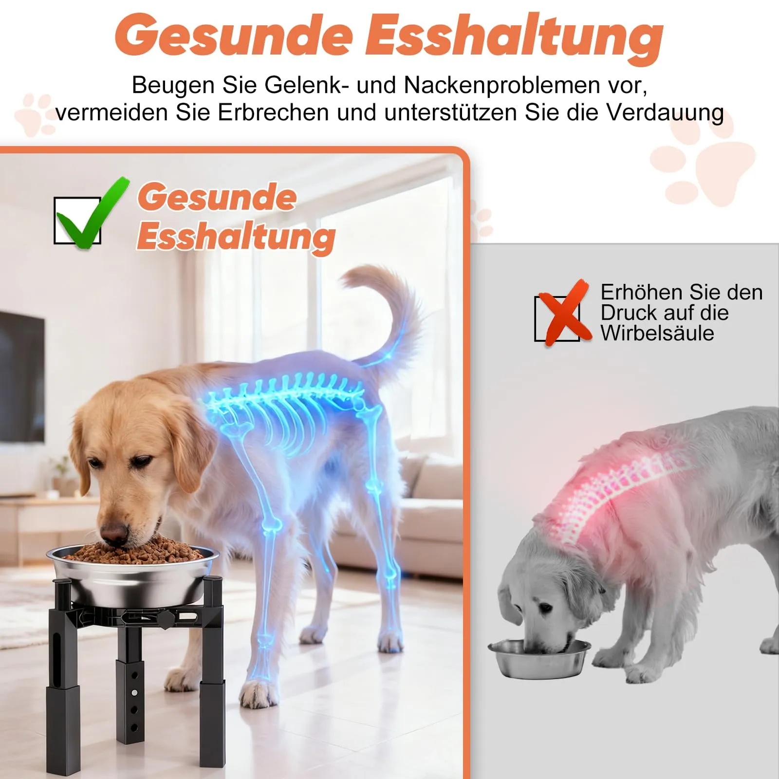 X XBEN Supporto per Ciotole Rialzate per Cani, 2 Pezzi, Altezza e Larghezza Regolabili, Antiscivolo [Solo Supporto] - immagine 3