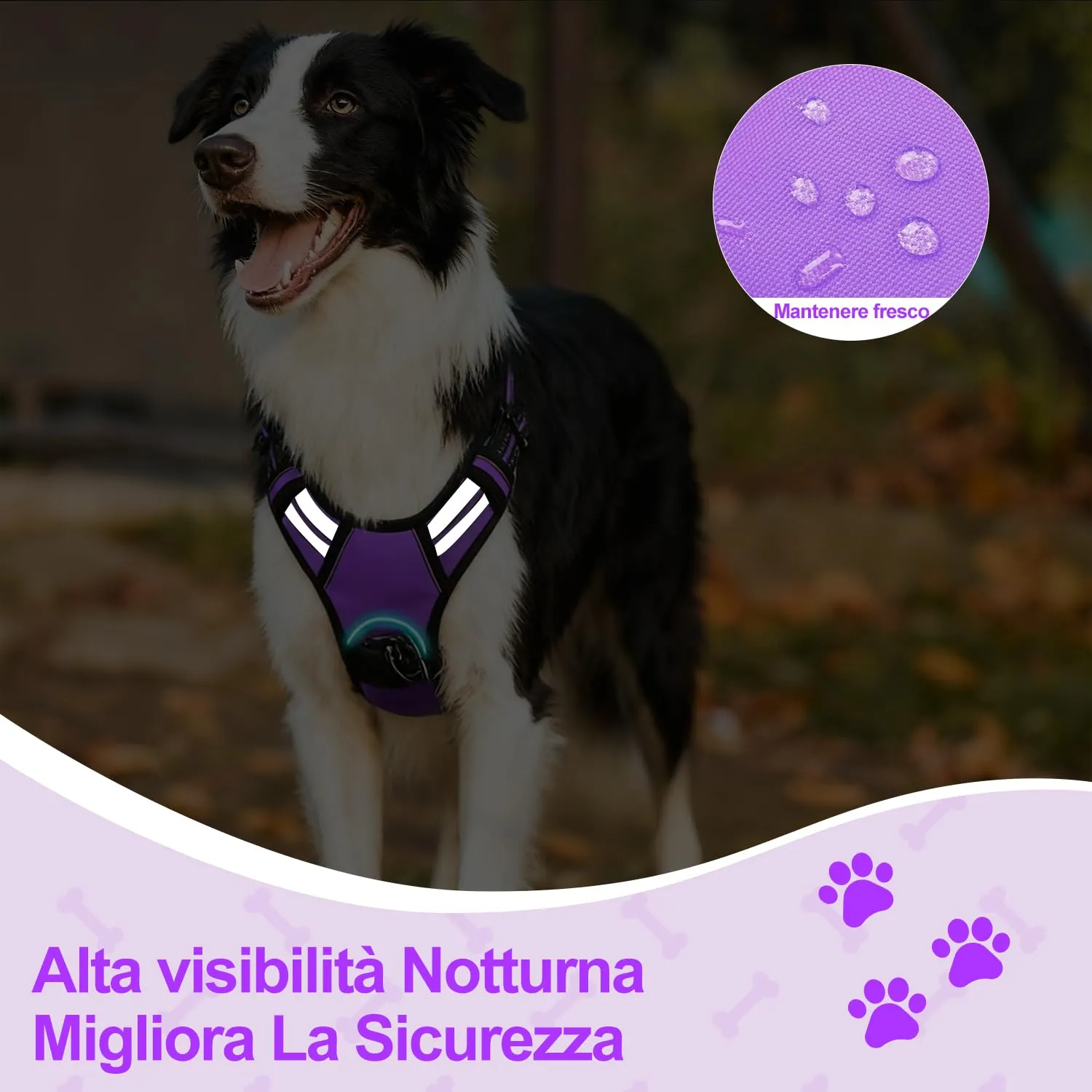 CUEMOON Pettorina per Cani Anti Tiro Riflettente, Viola, M - immagine 5