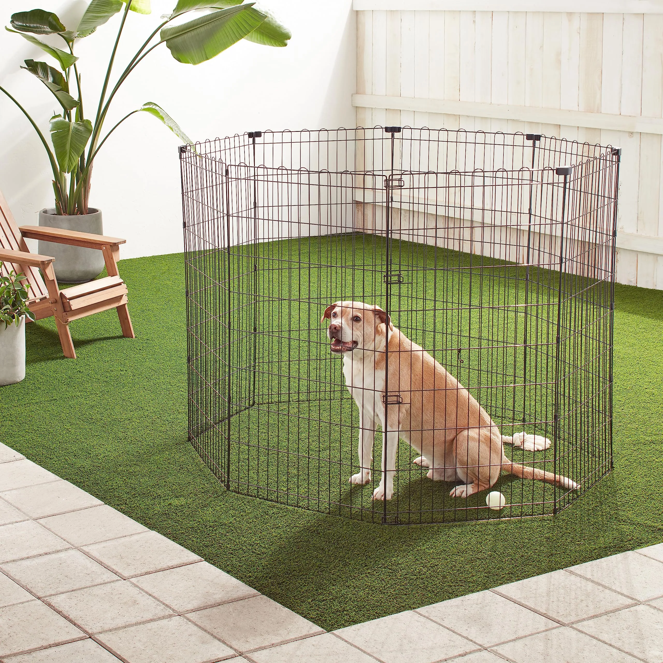 Amazon Basics Box per esercizi per cani e animali domestici, pieghevole in metallo con porta, 122 cm - immagine 5